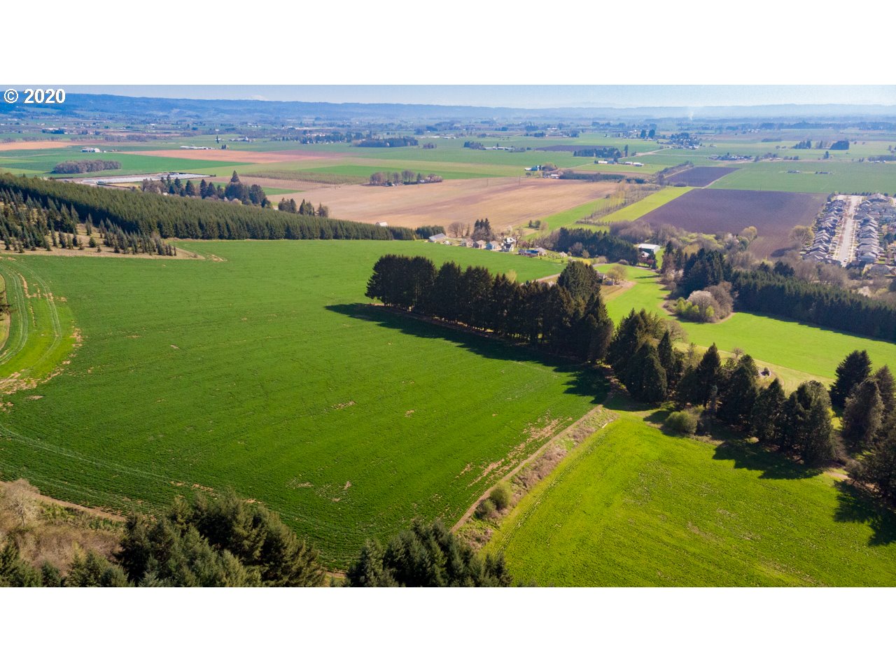 David Hill, ForestGrove, OR 97116