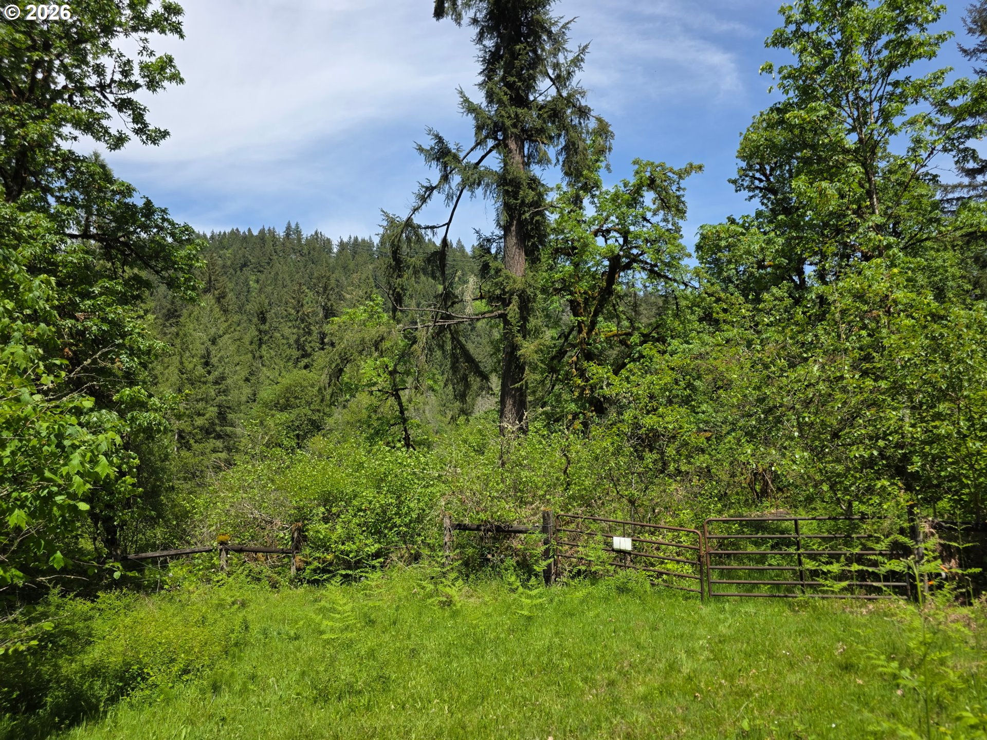 Lewis Cemetery RD, Silverton, OR 97381