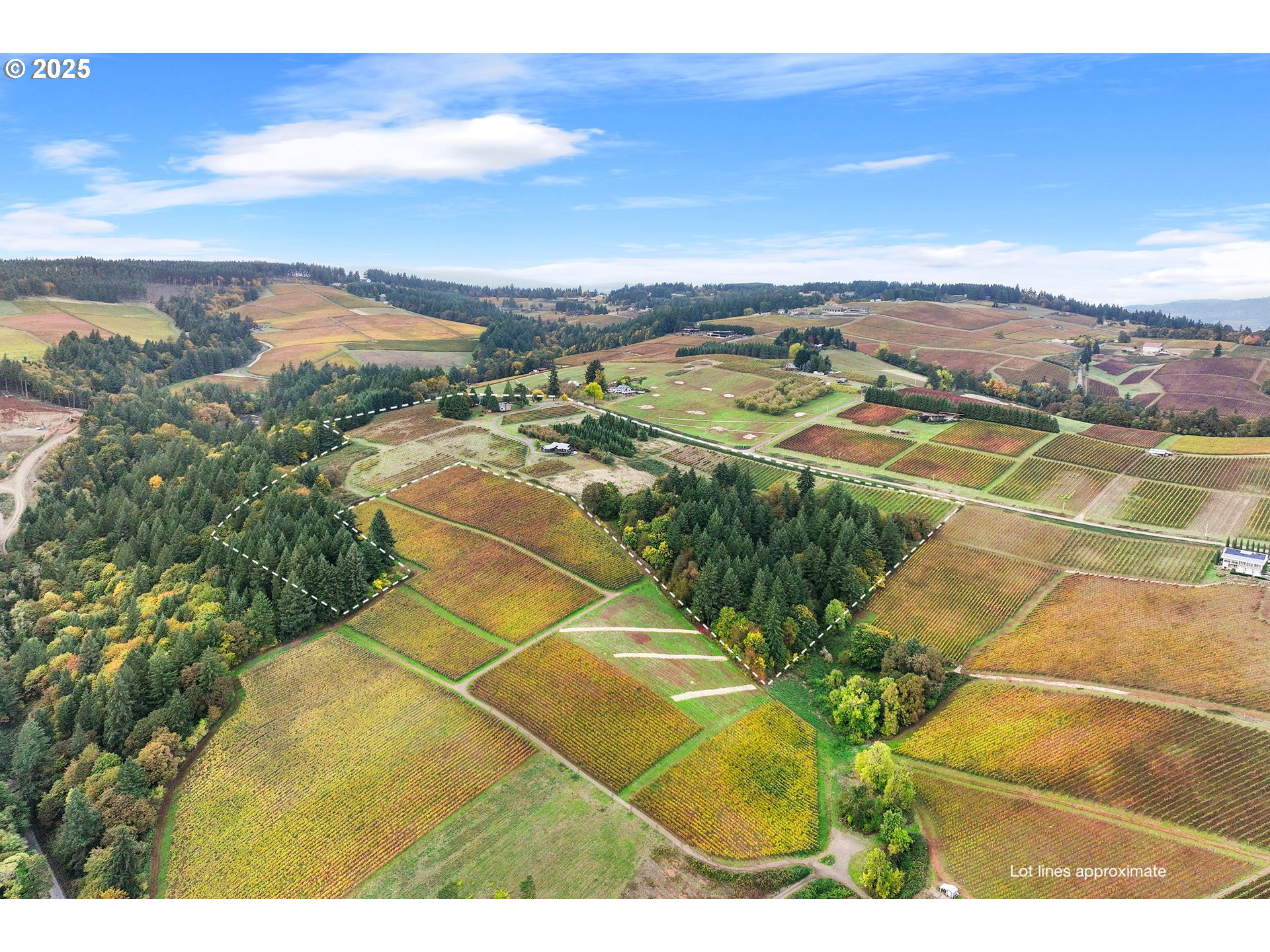 9325 WORDEN HILL RD, Dundee, OR 97115