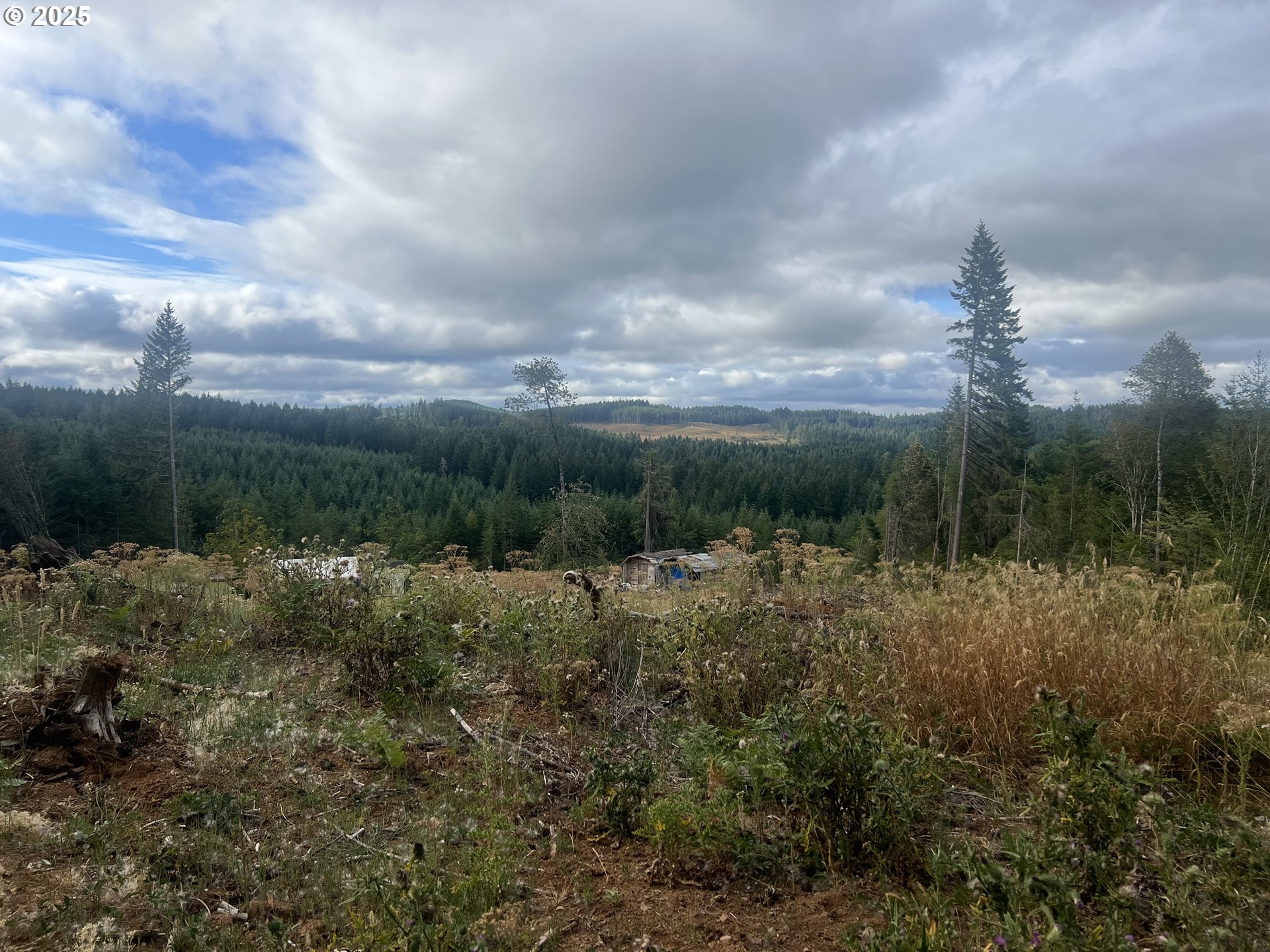 89975 SHEFFLER RD, Elmira, OR 97437
