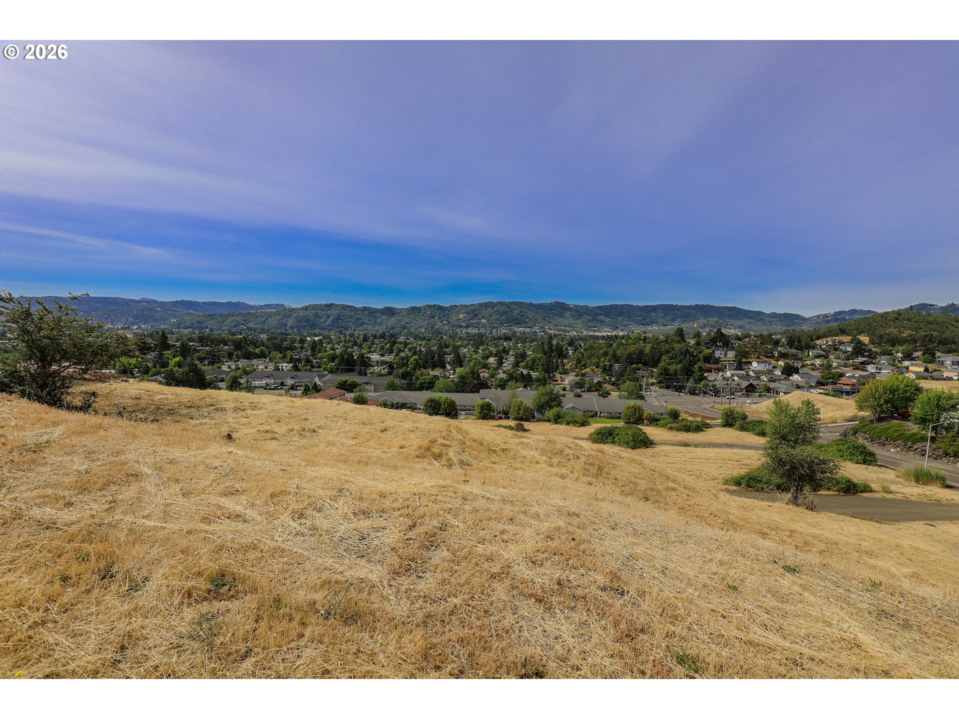 1981 WAREWOOD TERRACE CT, Roseburg, OR 97471