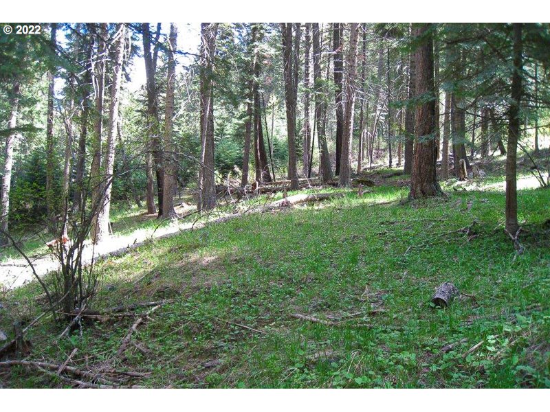 Tram LN, WallowaLake, OR 97846