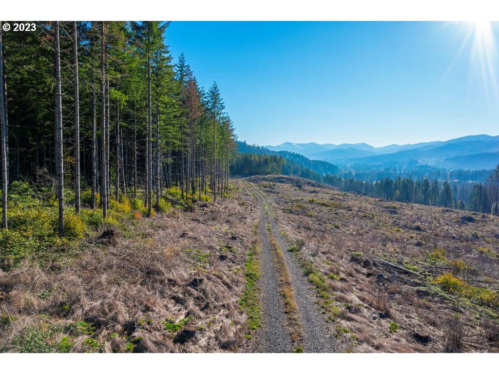 Pioneer RD, MillCity, OR 97360