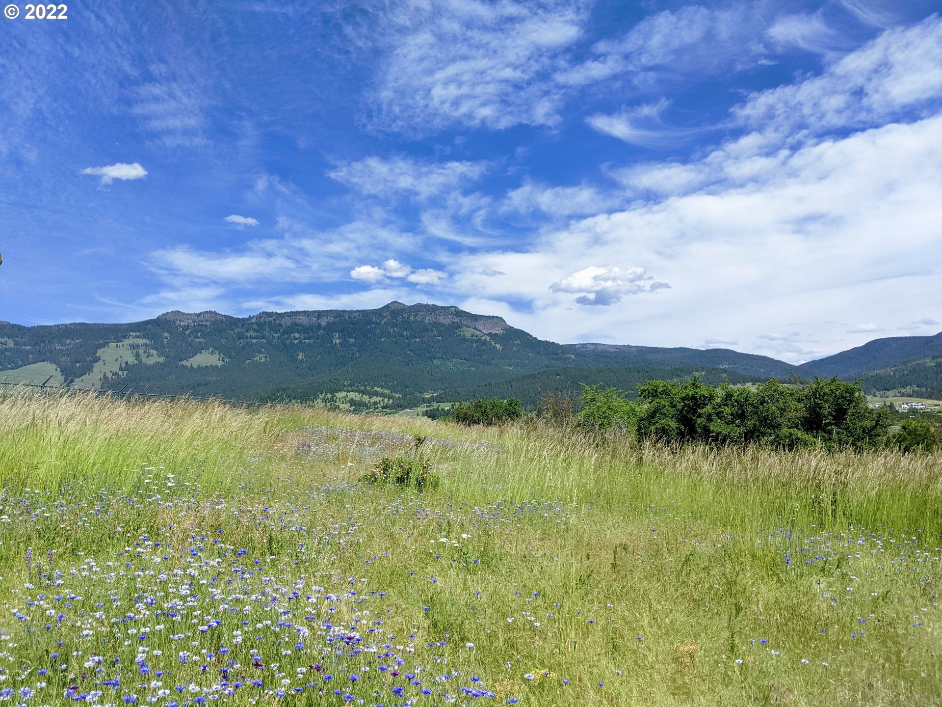 Rose Ridge RD, Cove, OR 97824
