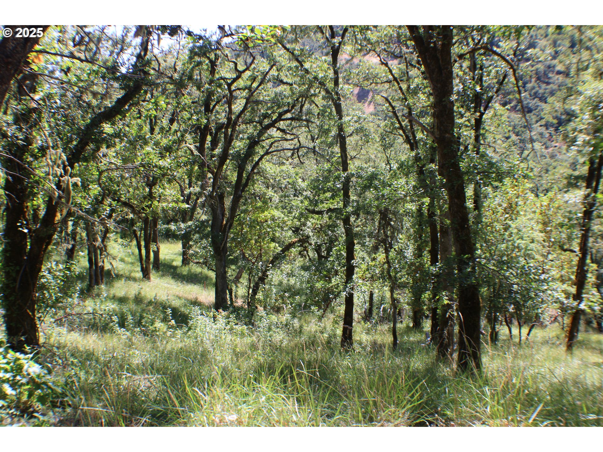 345 SIERRA DR, Roseburg, OR 97471
