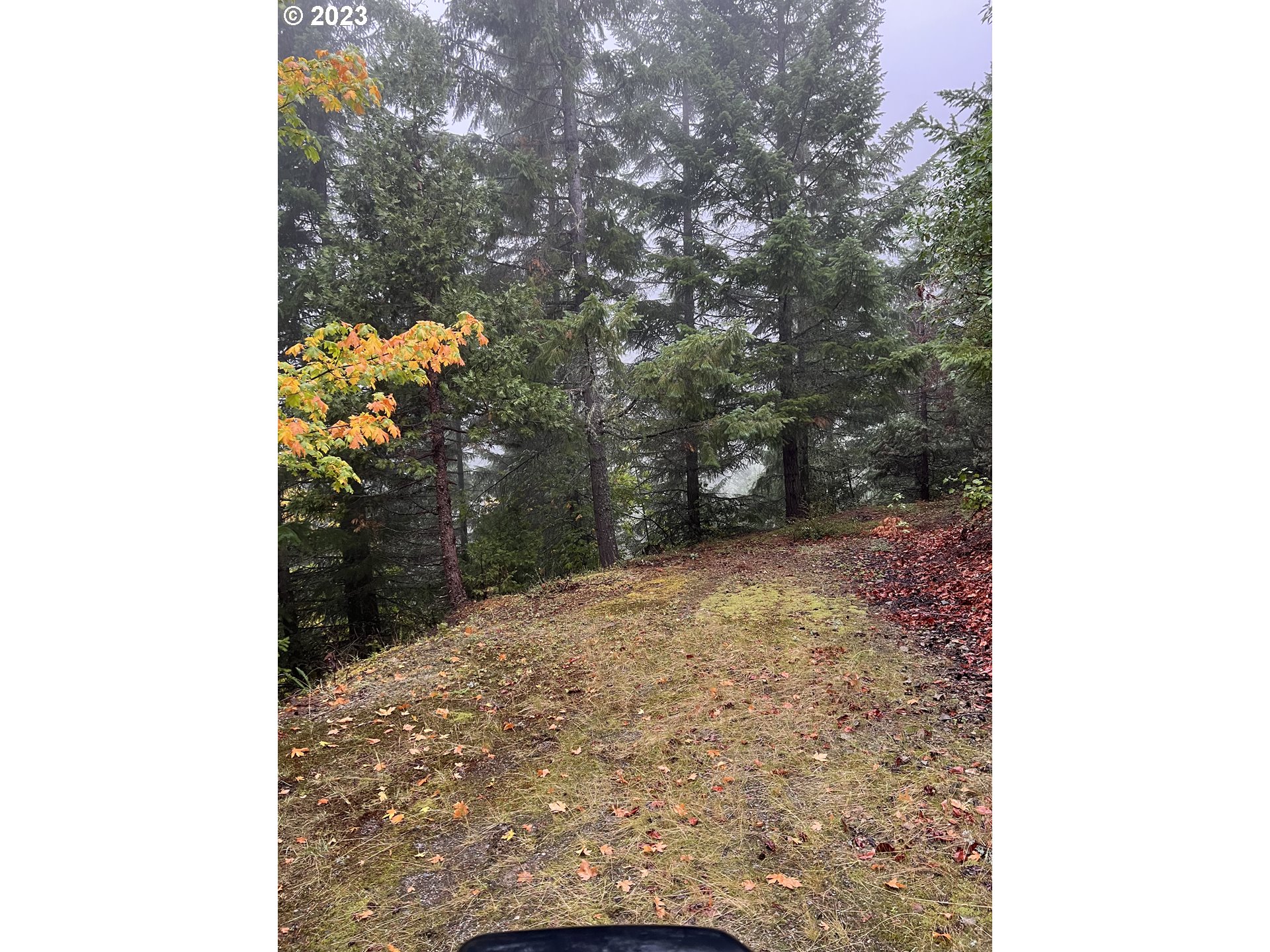 6232 COYOTE CREEK RD, WolfCreek, OR 97497