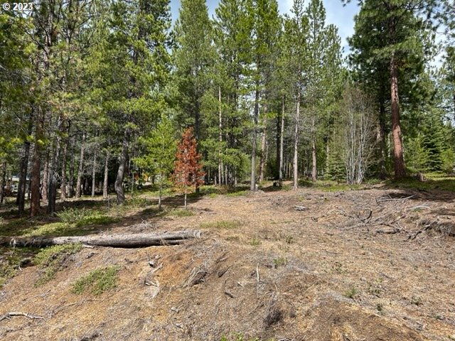 43 Clear Spring WAY, CrescentLake, OR 97733