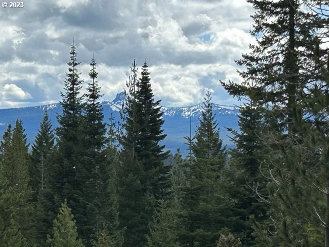 8 Diamond Peak WAY, CrescentLake, OR 97733