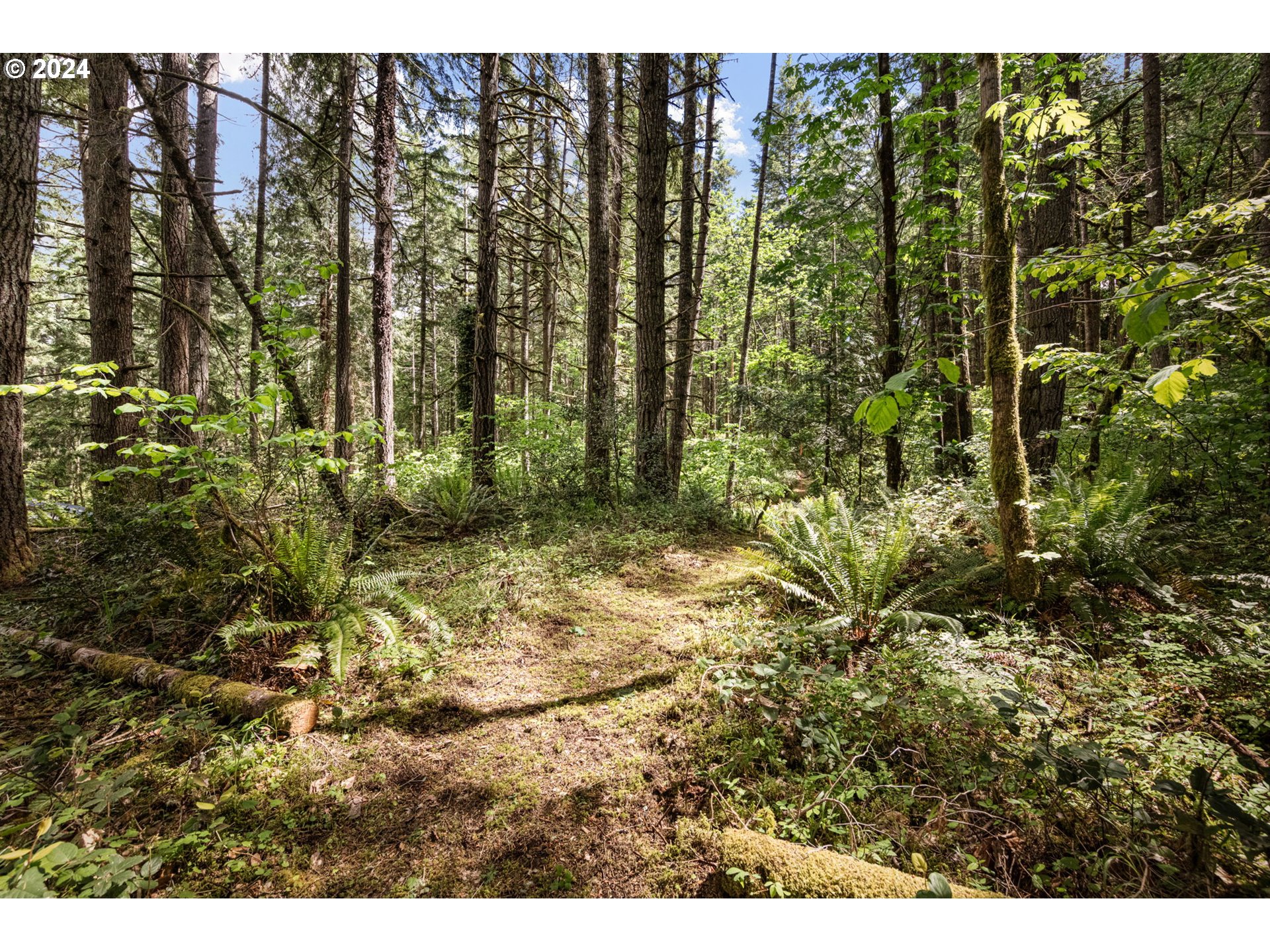 Tonga Lane, Springfield, OR 97478