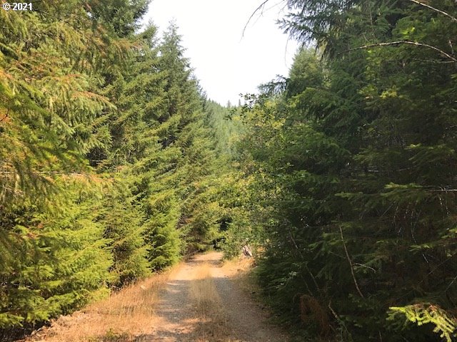 Nfd 305 RD, SweetHome, OR 97386
