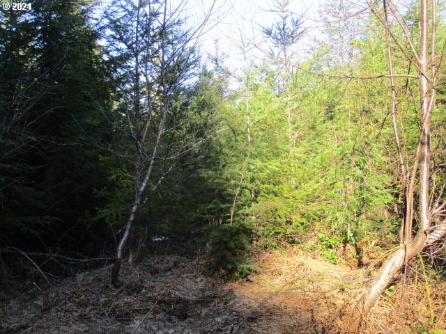 Harvey RD, Estacada, OR 97023
