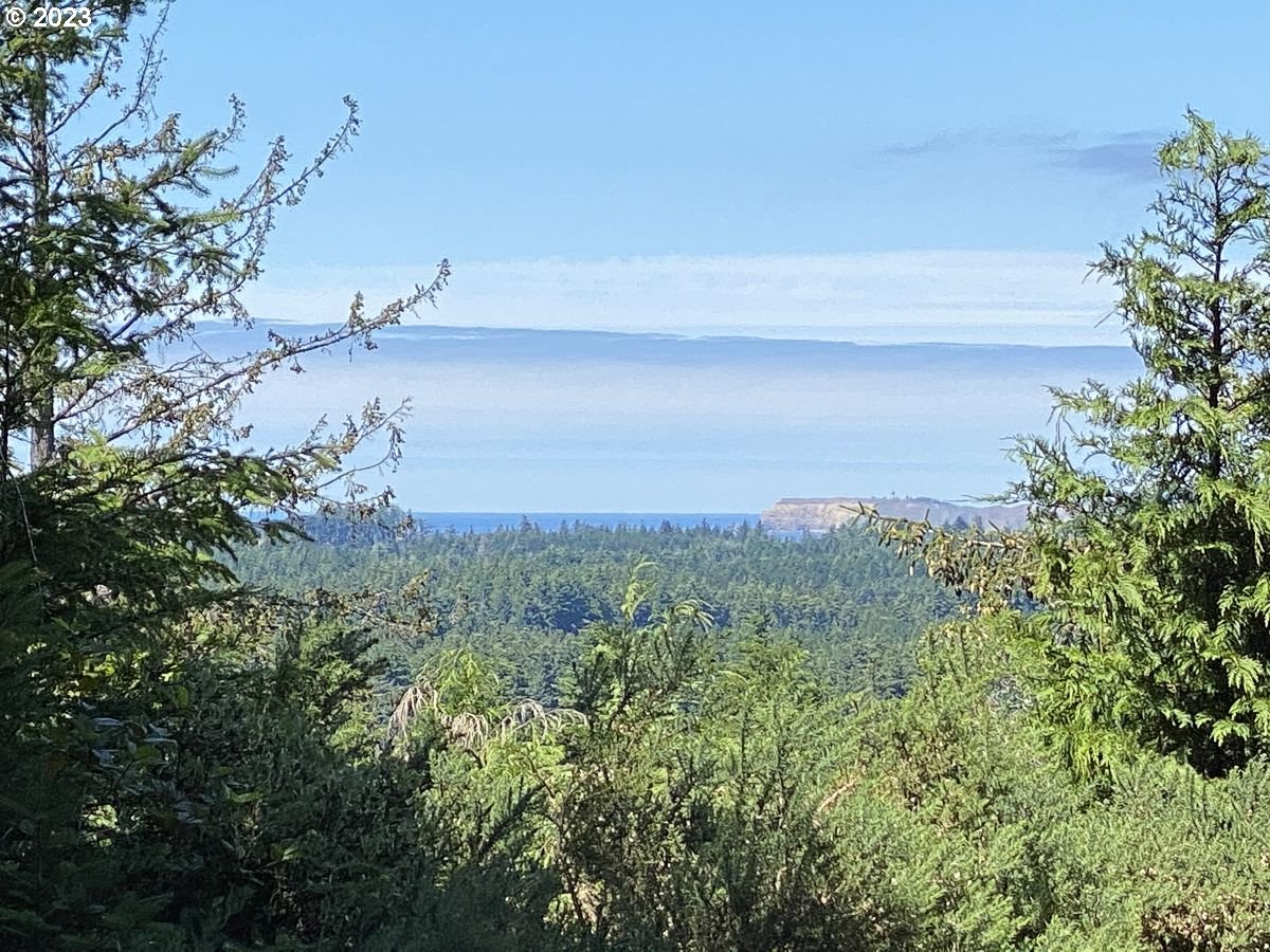 Vista ST, PortOrford, OR 97465