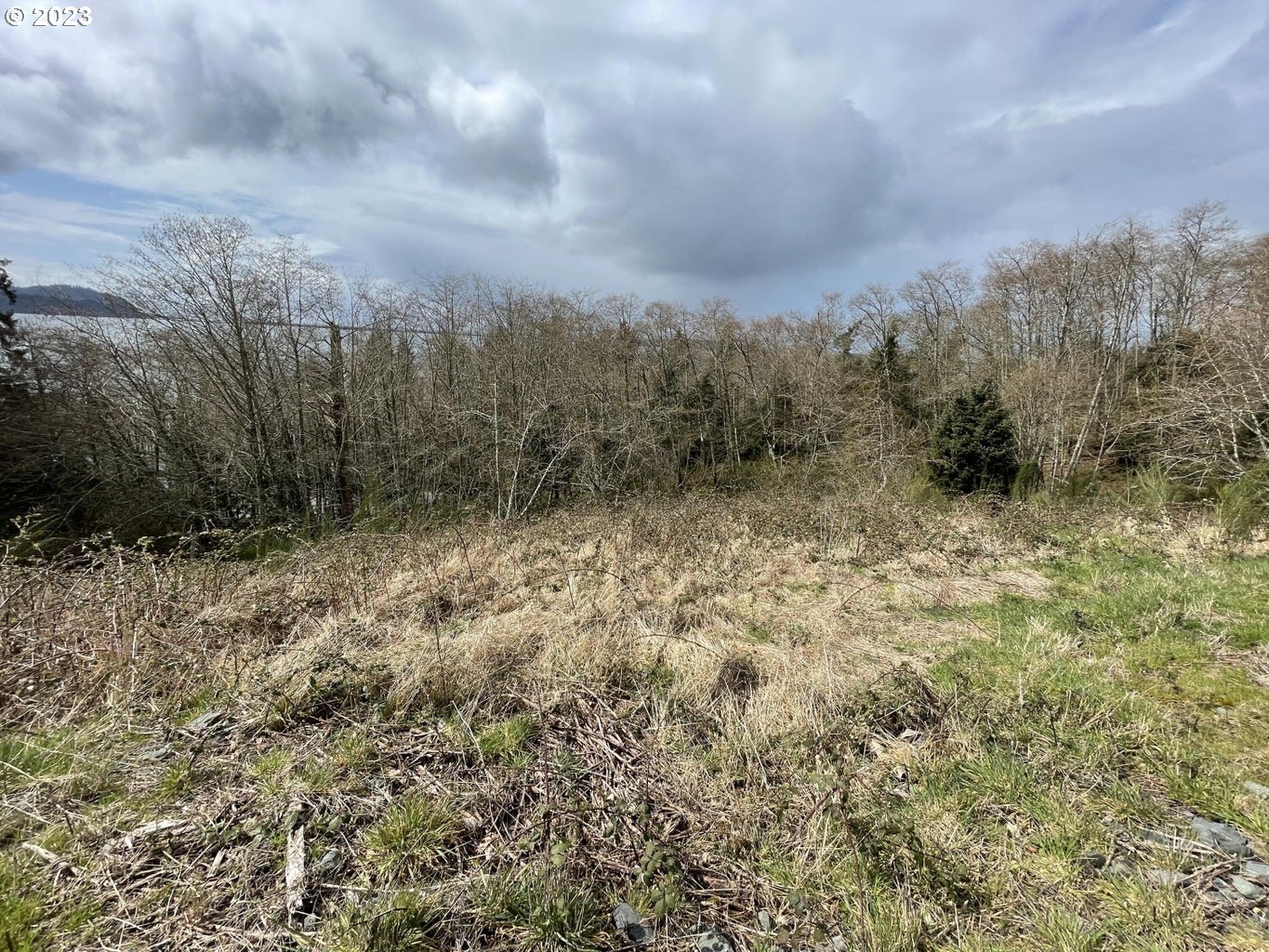 Lot 20 North Ridge DR, BayCity, OR 97107