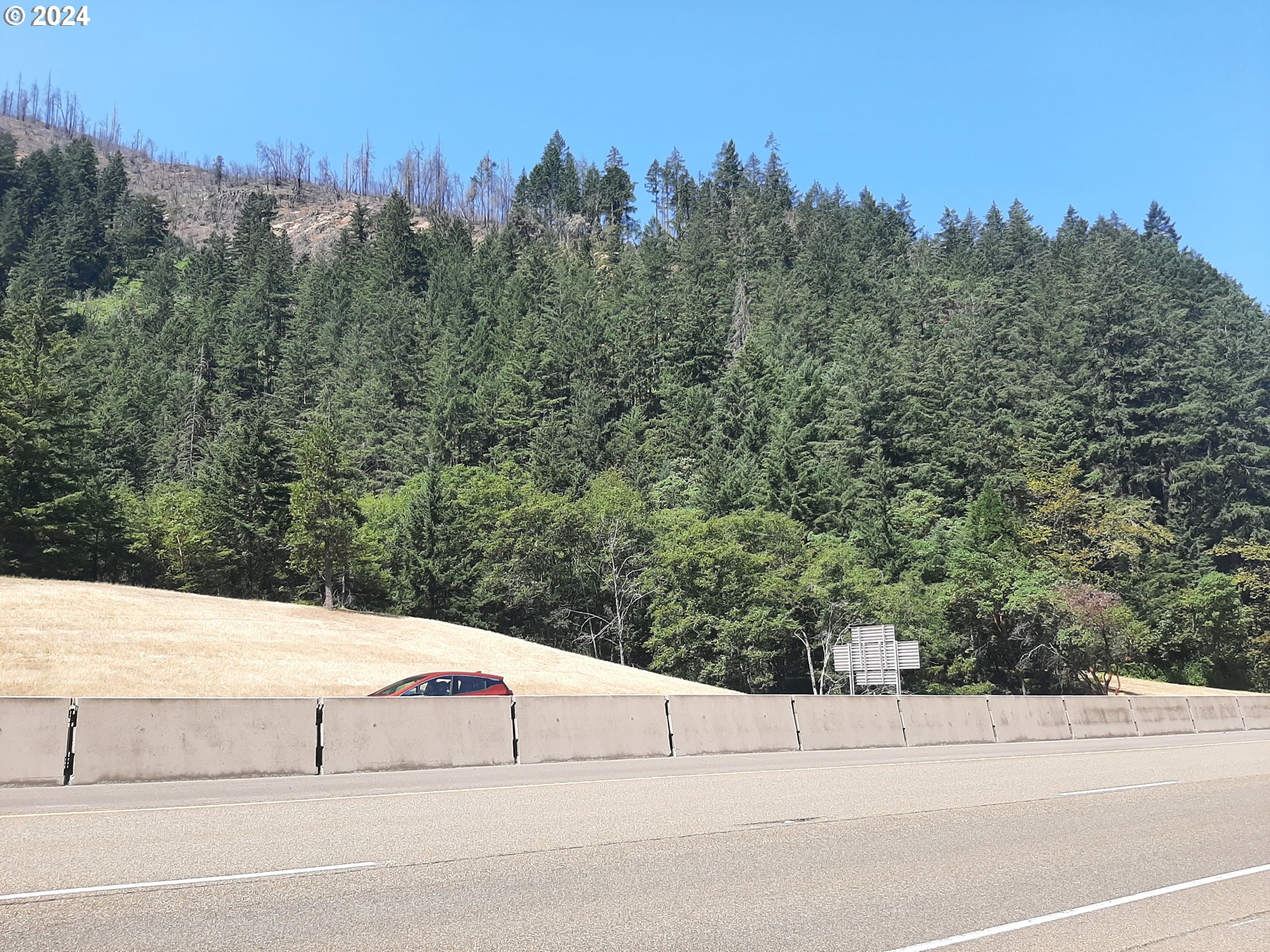 CANYONVILLE-RIDDLE RD, Canyonville, OR 97417