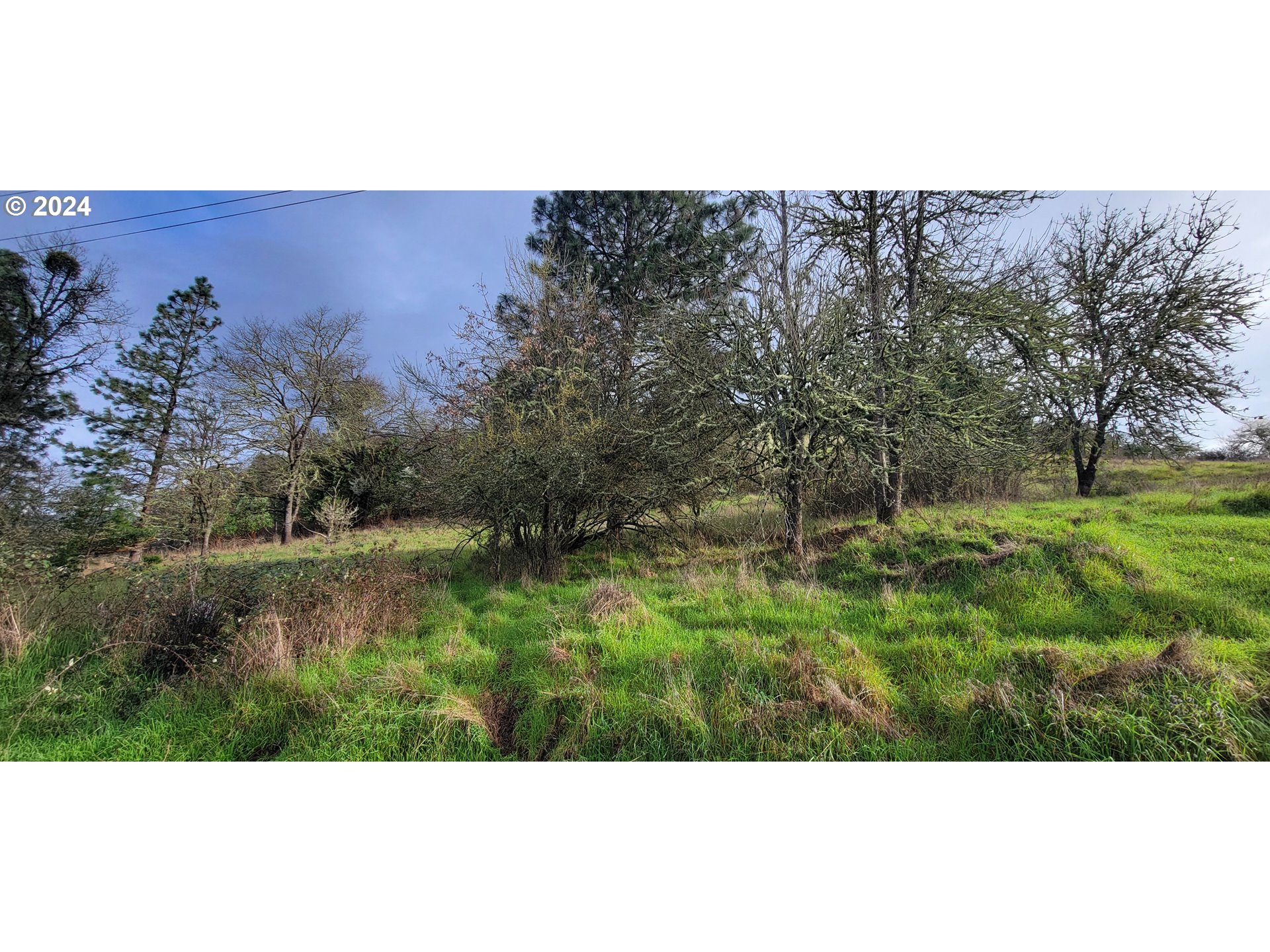 ARDIS AVE, MyrtleCreek, OR 97457