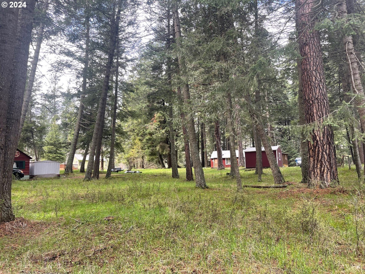 Wallowa Lake Highway, WallowaLake, OR 97846