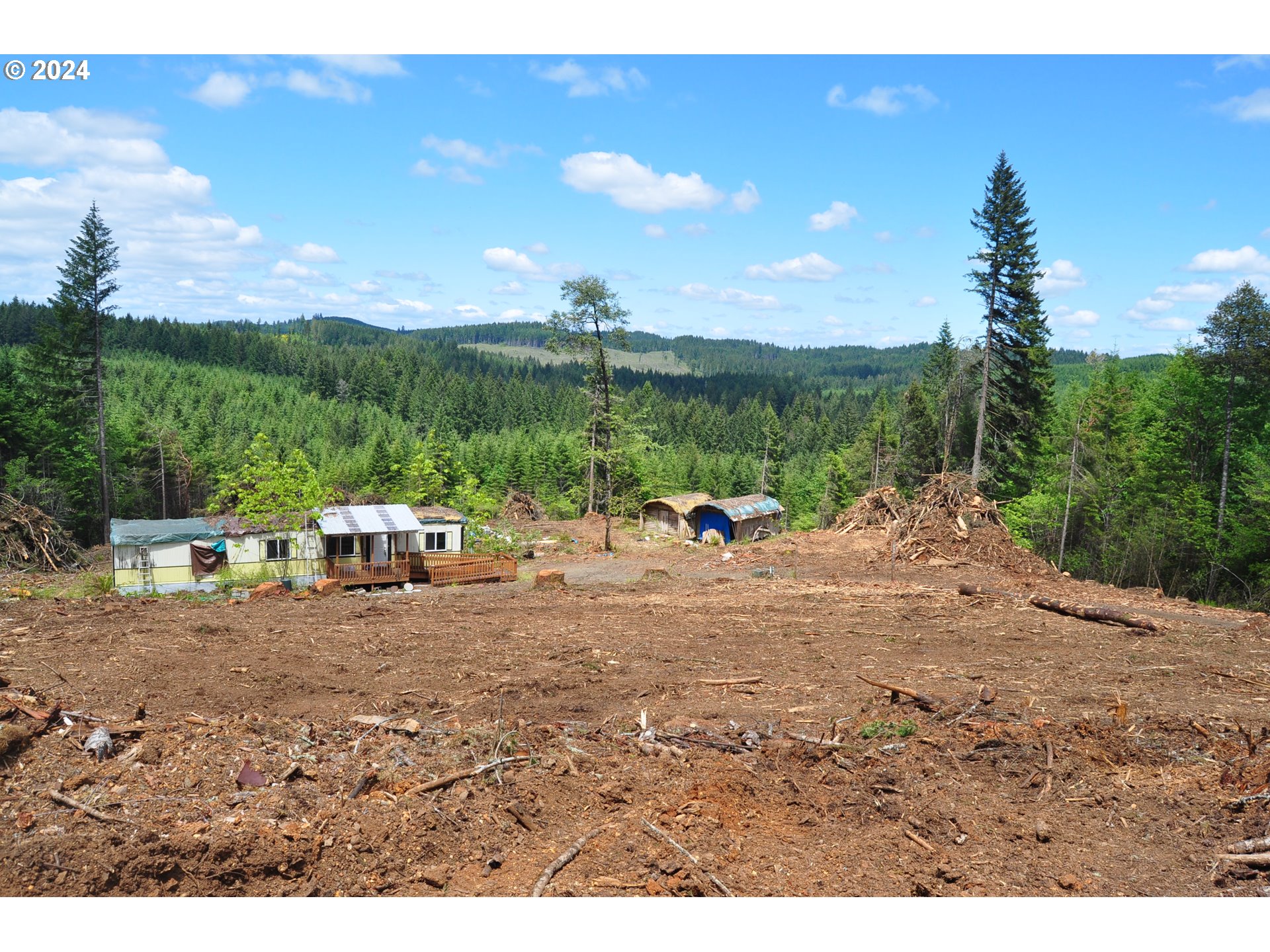 89975 SHEFFLER RD, Elmira, OR 97437