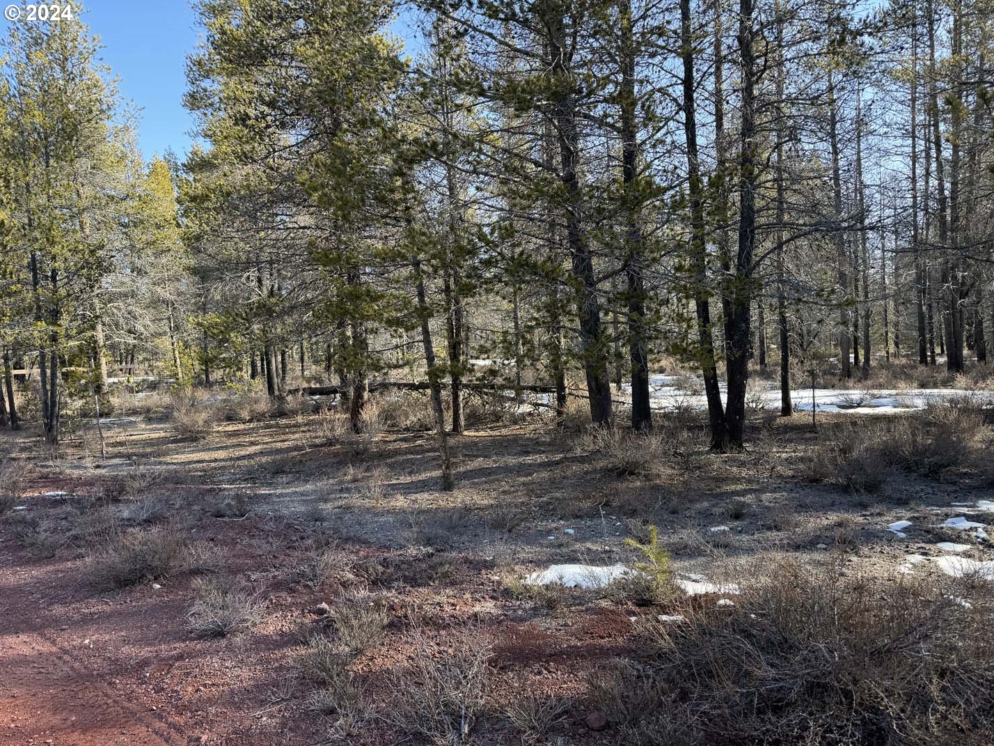 Scott View Drive, Chiloquin, OR 97624