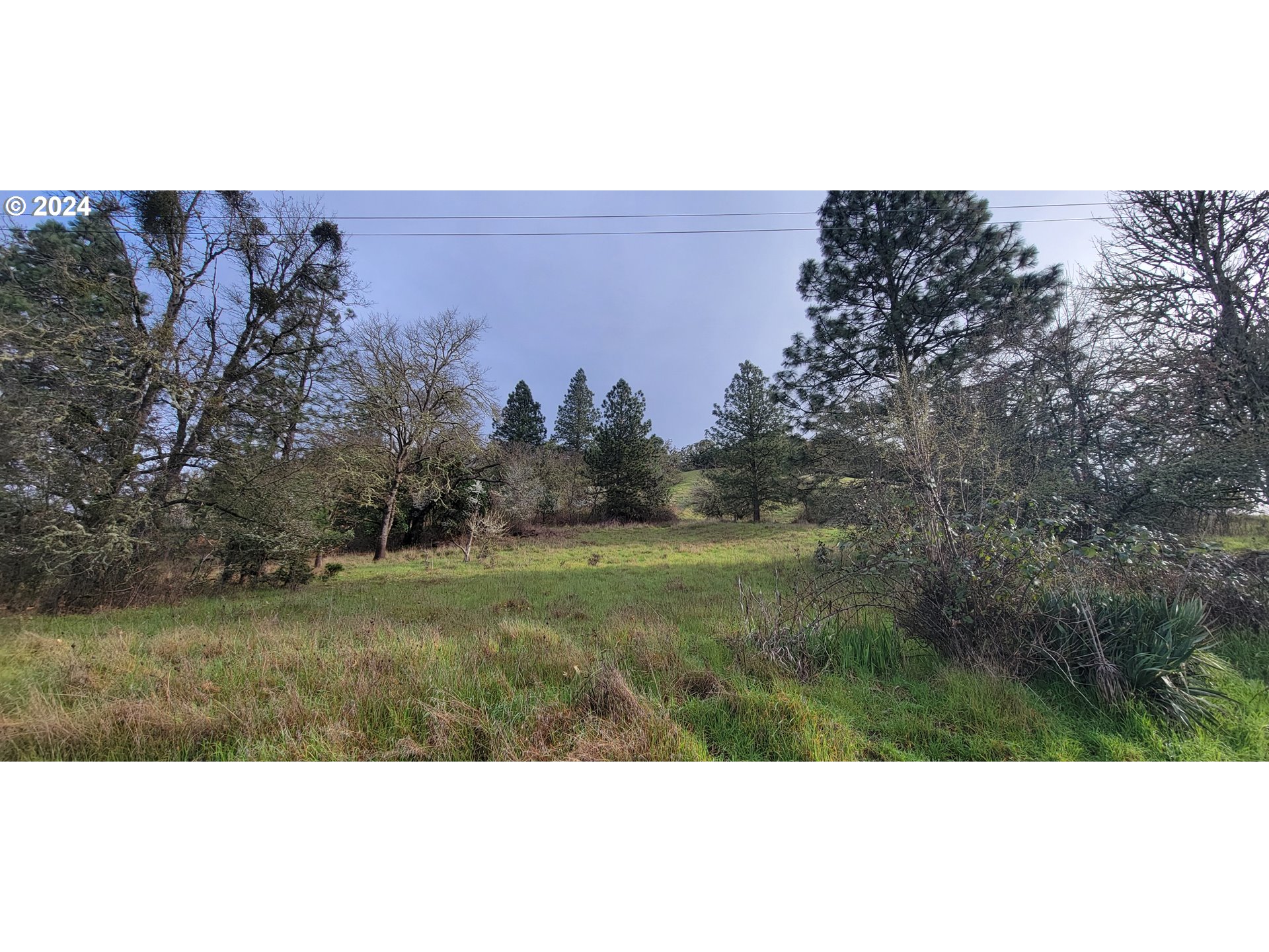 ARDIS AVE, MyrtleCreek, OR 97457