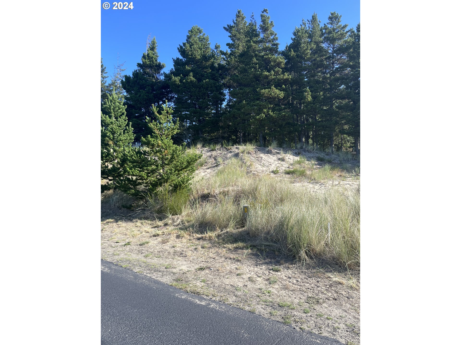 Pine Ridge DR, Manzanita, OR 97130