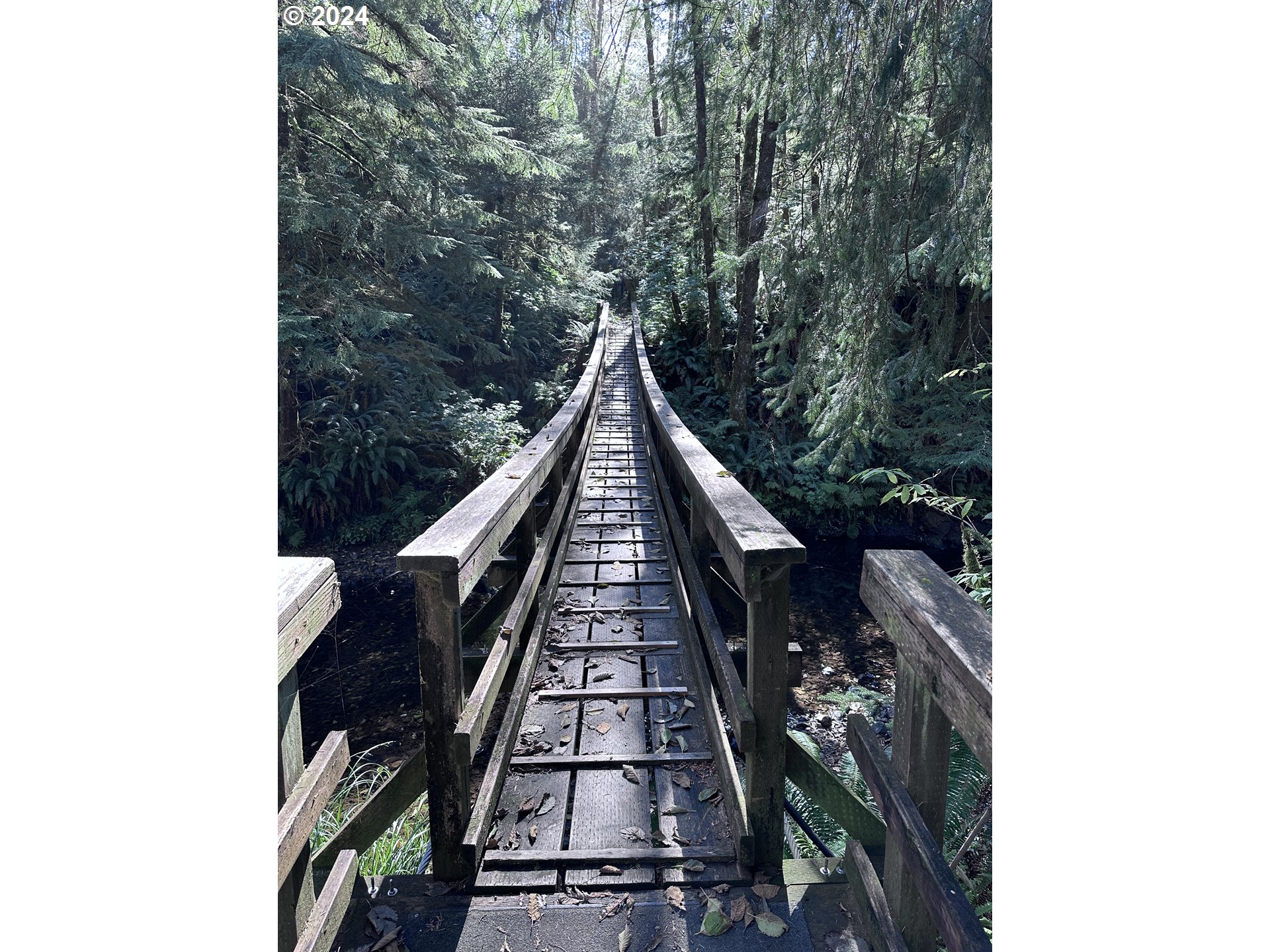 3rd ST, ArchCape, OR 97102