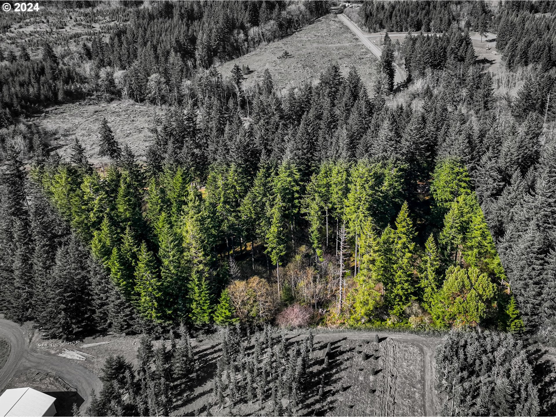 19860 Sharon Tony WAY, Silverton, OR 97381