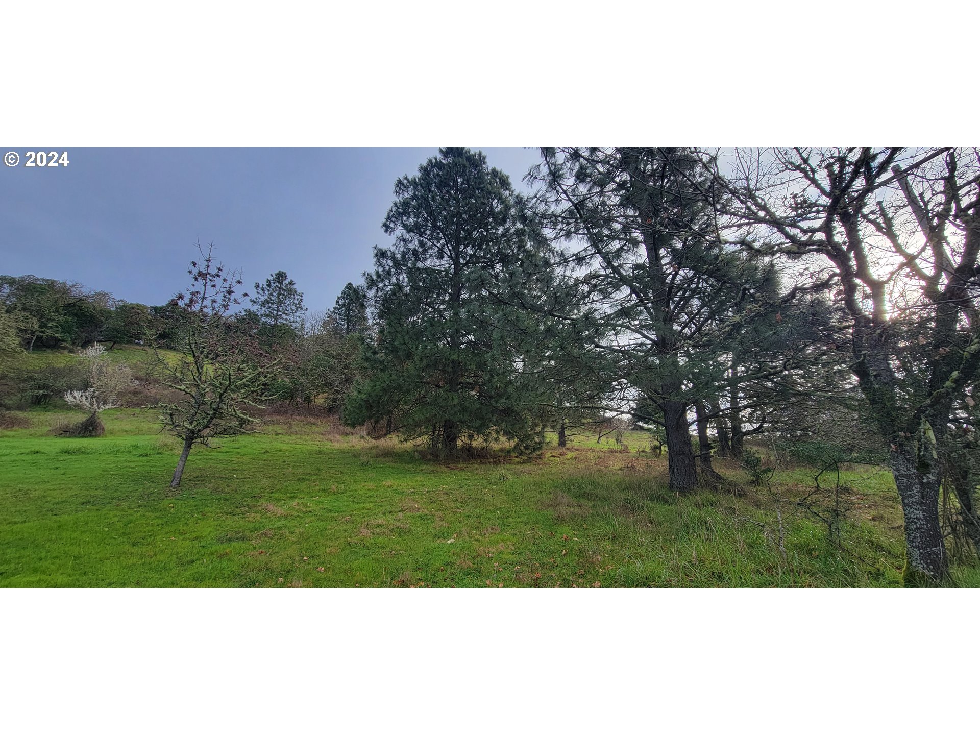 ARDIS AVE, MyrtleCreek, OR 97457