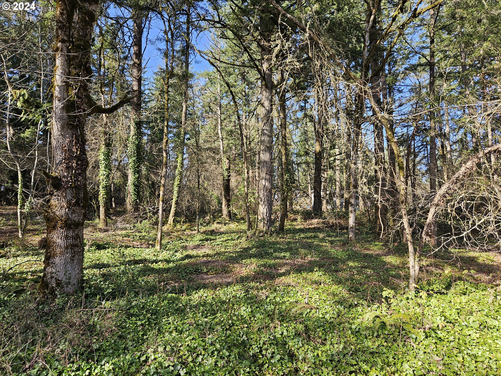 2700 Miller LN, Albany, OR 97321