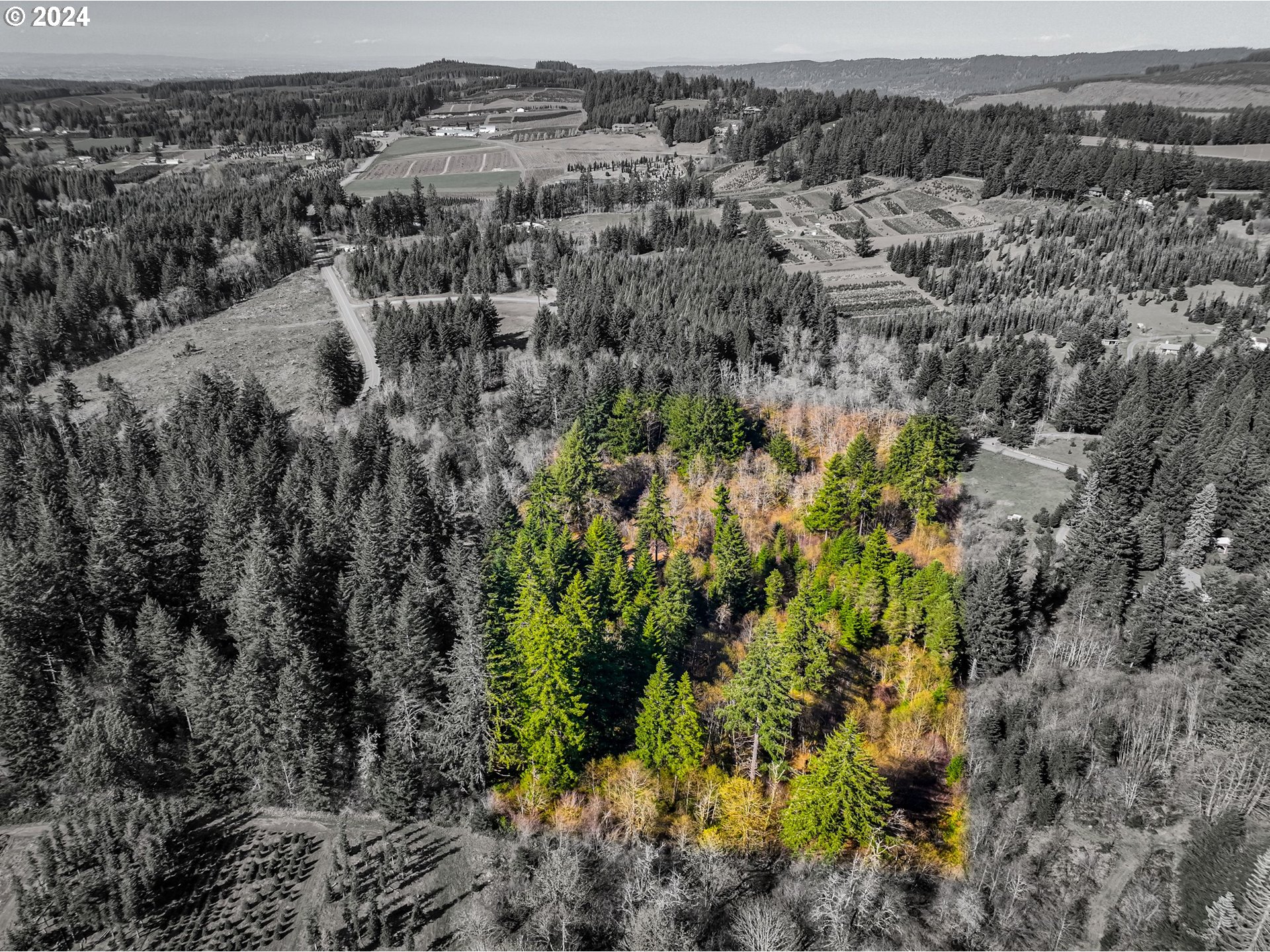 19890 Sharon Tony WAY, Silverton, OR 97381