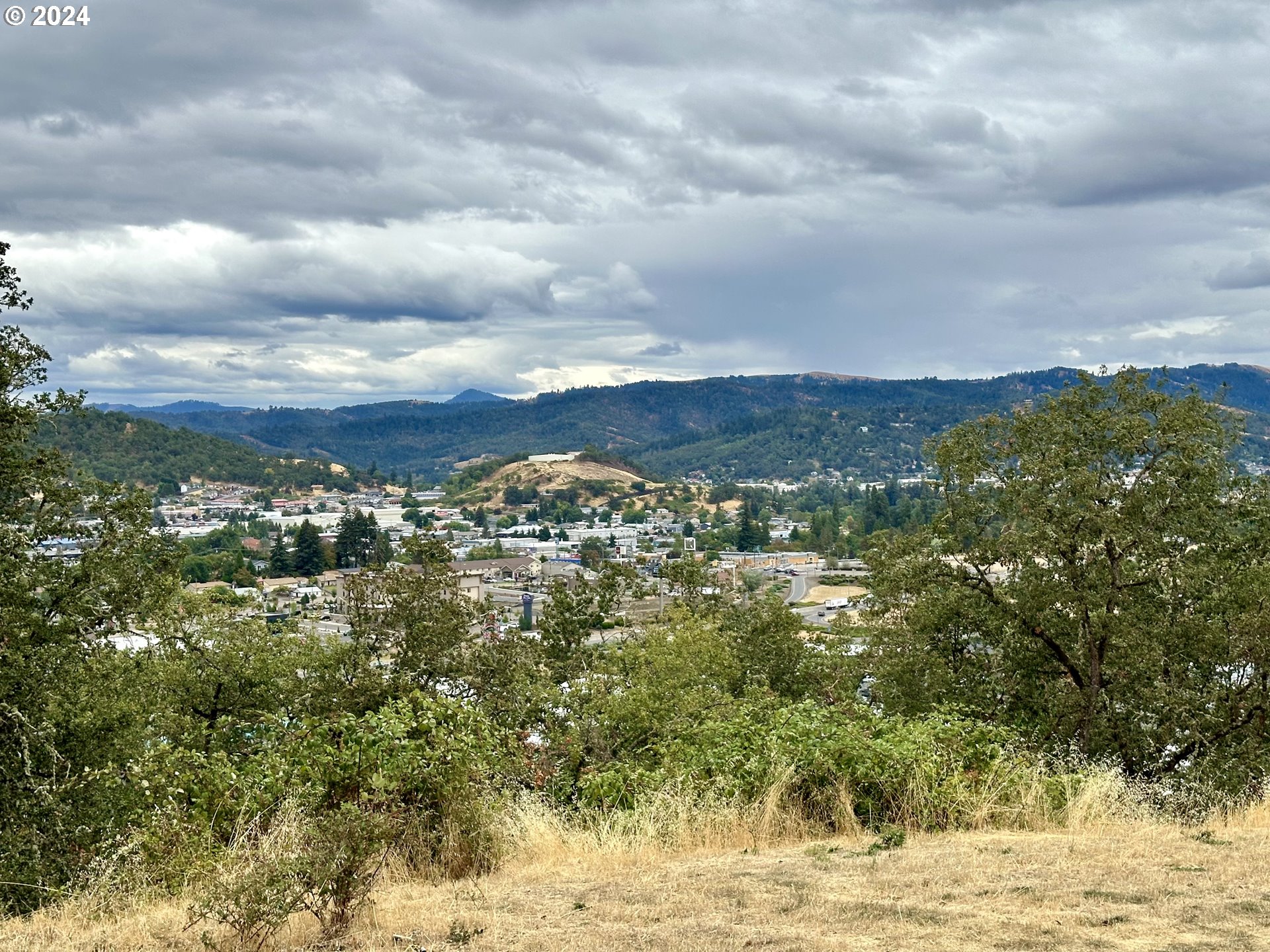 1930 DOGWOOD ST, Roseburg, OR 97471