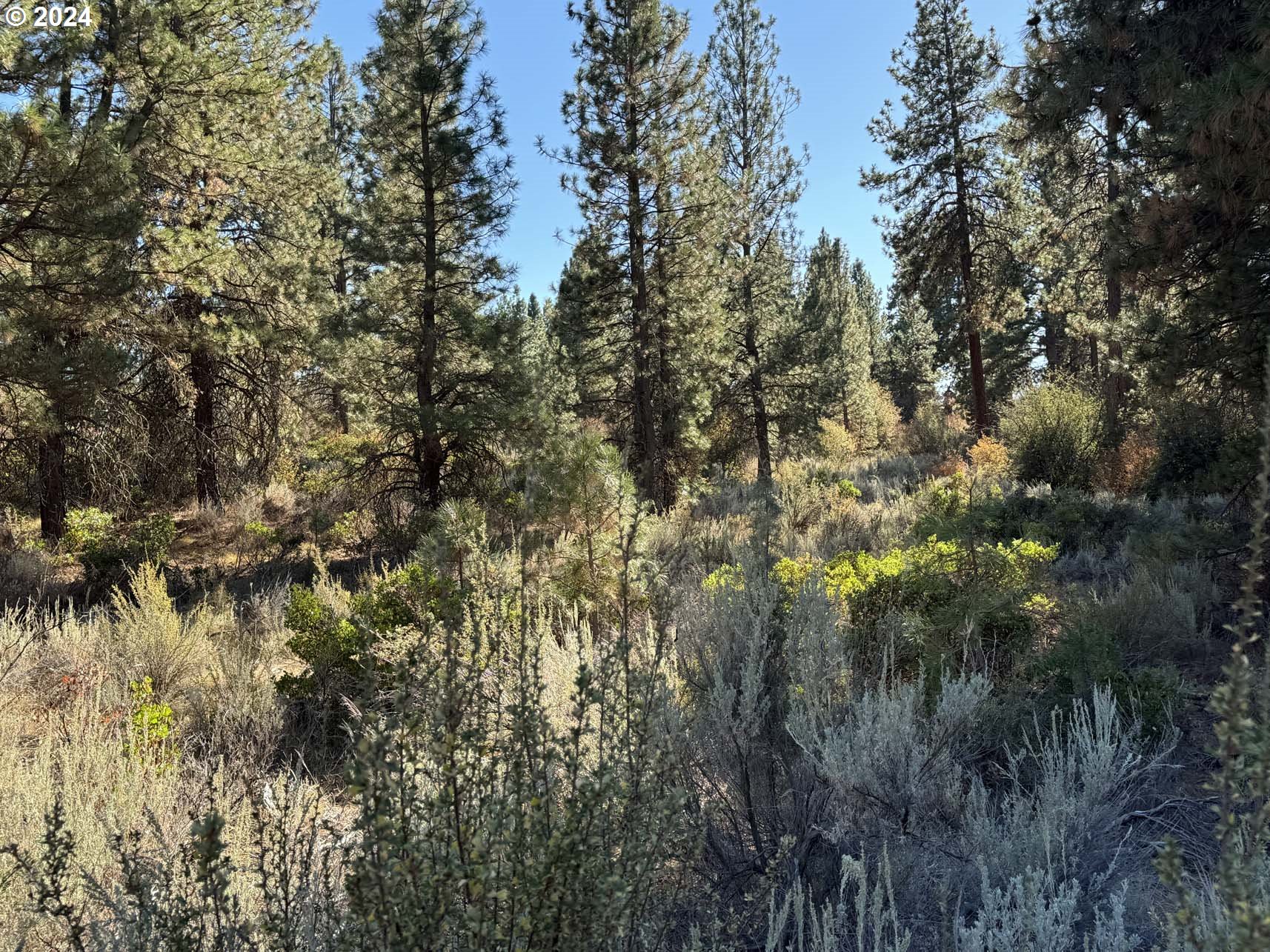Legget DR, Chiloquin, OR 97624