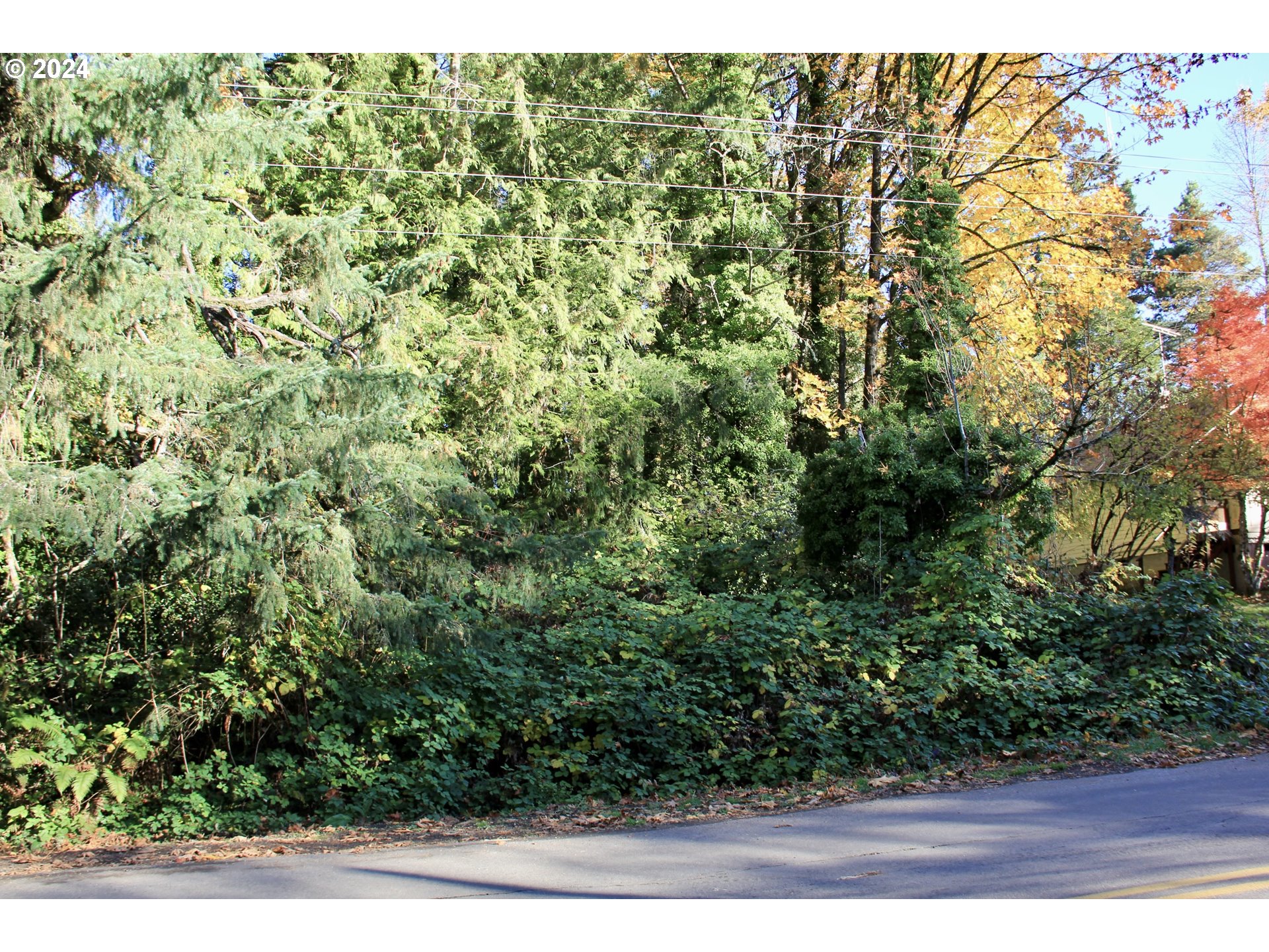 41081 Vista Loop DR, Sandy, OR 97055