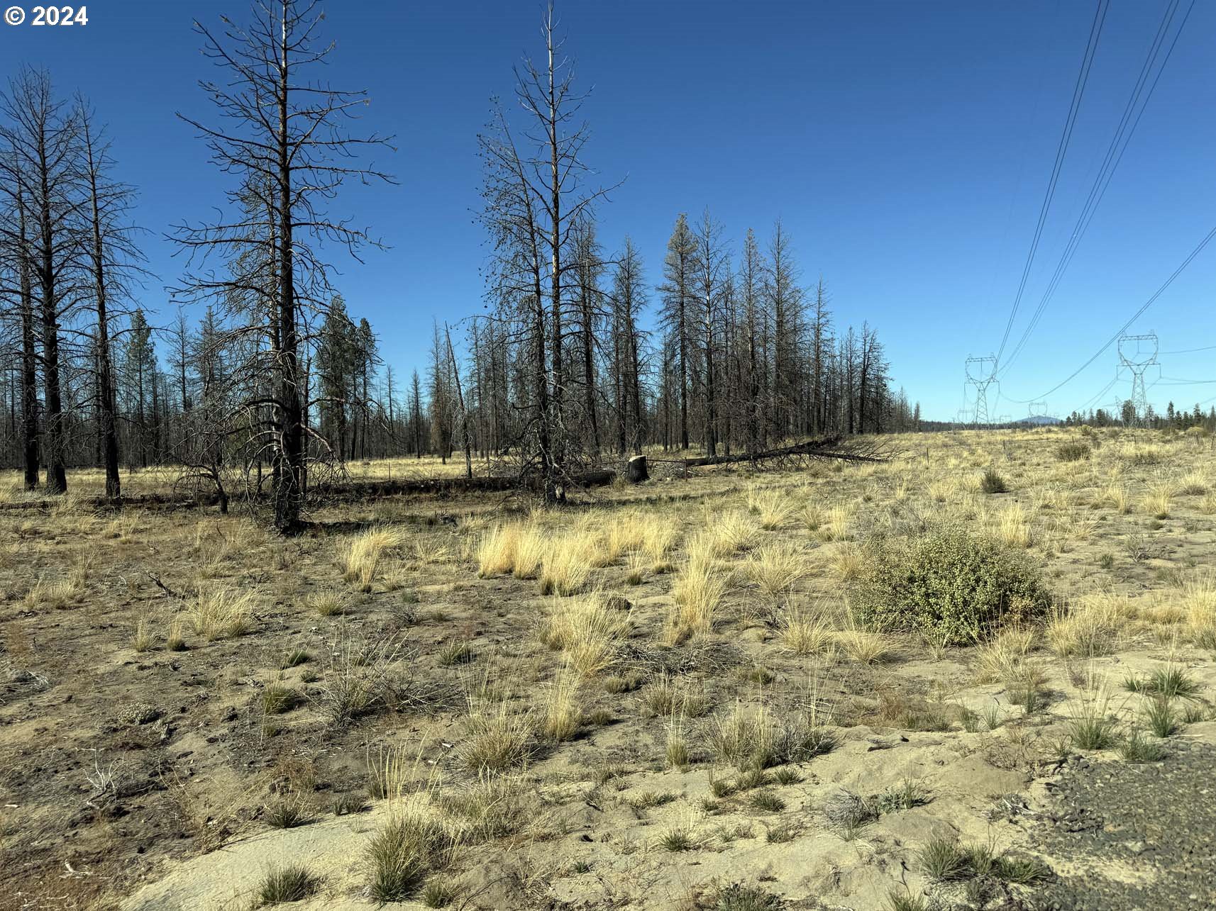 Mahogany LN, Beatty, OR 97621