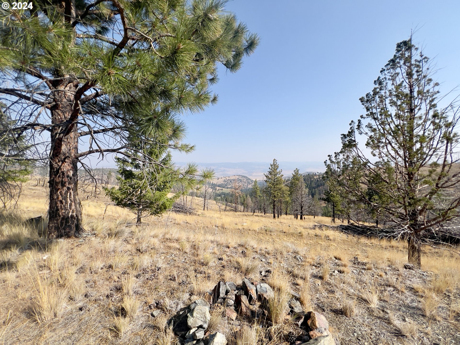 25361 Baldy Mountain RD, JohnDay, OR 97845