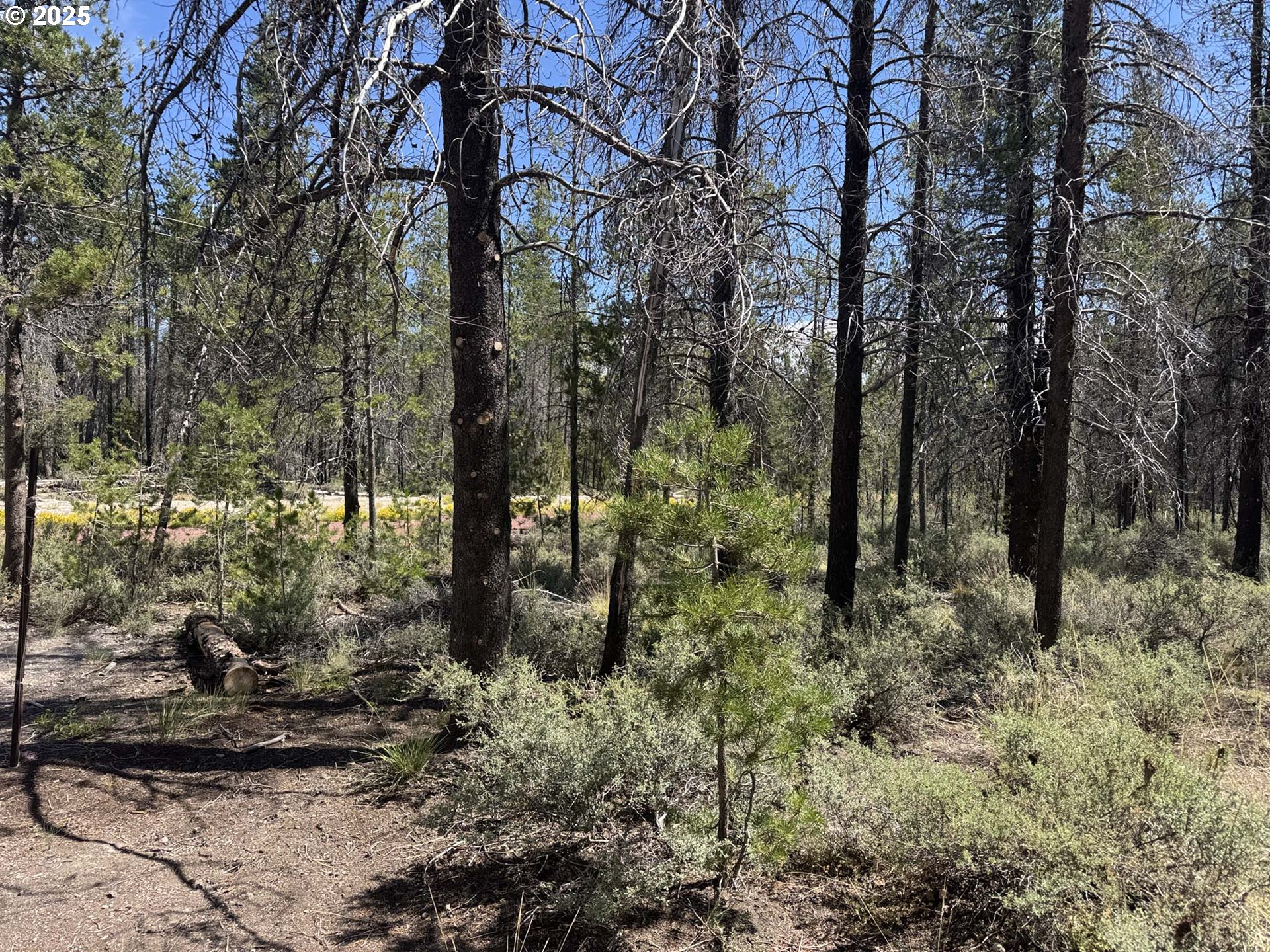 Munson Drive, Chiloquin, OR 97624
