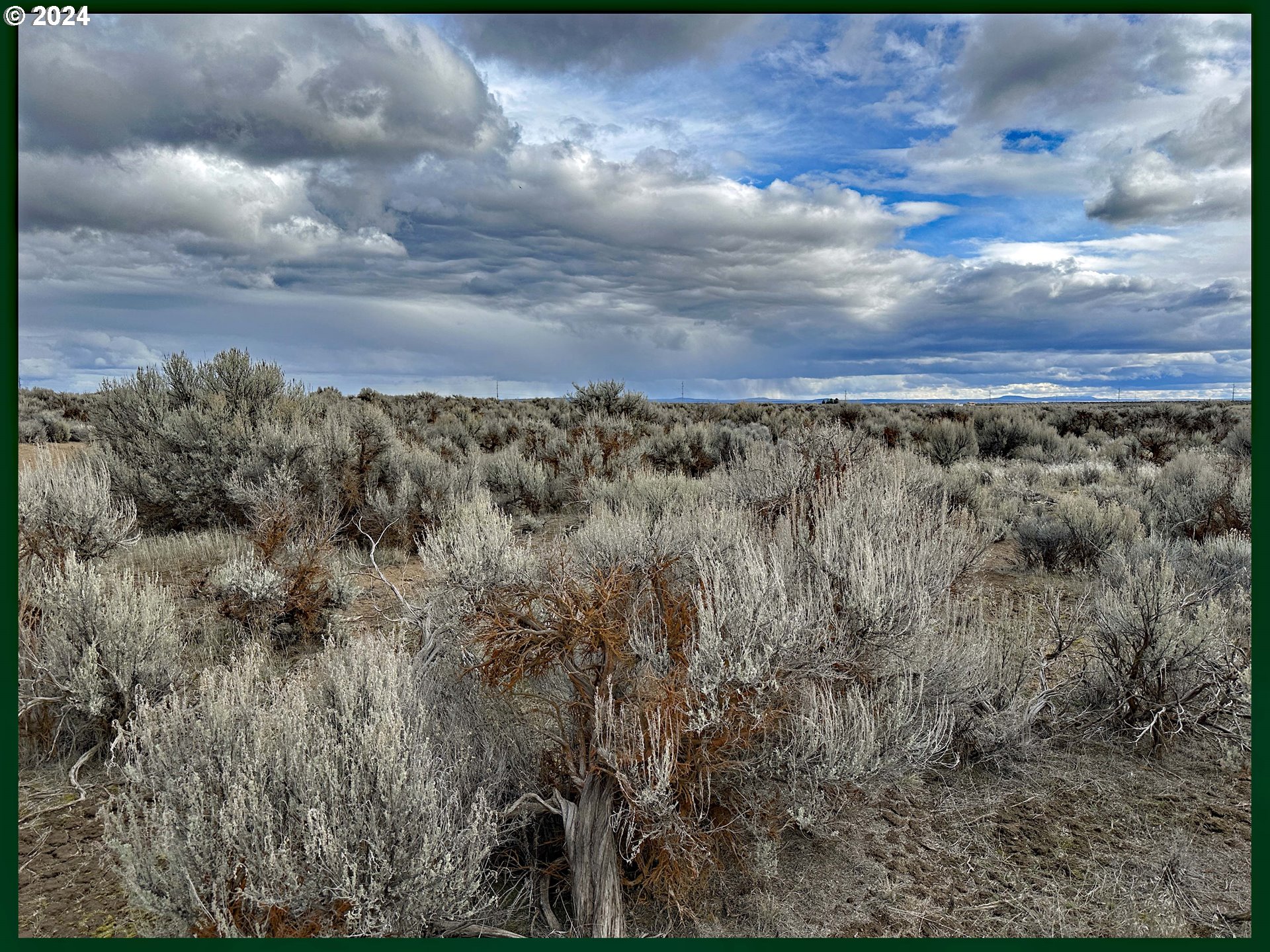 Millican RD, ChristmasValley, OR 97641