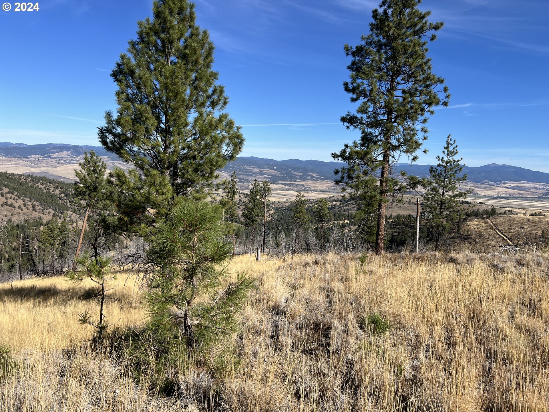 25422 Baldy Mountain RD, JohnDay, OR 97845