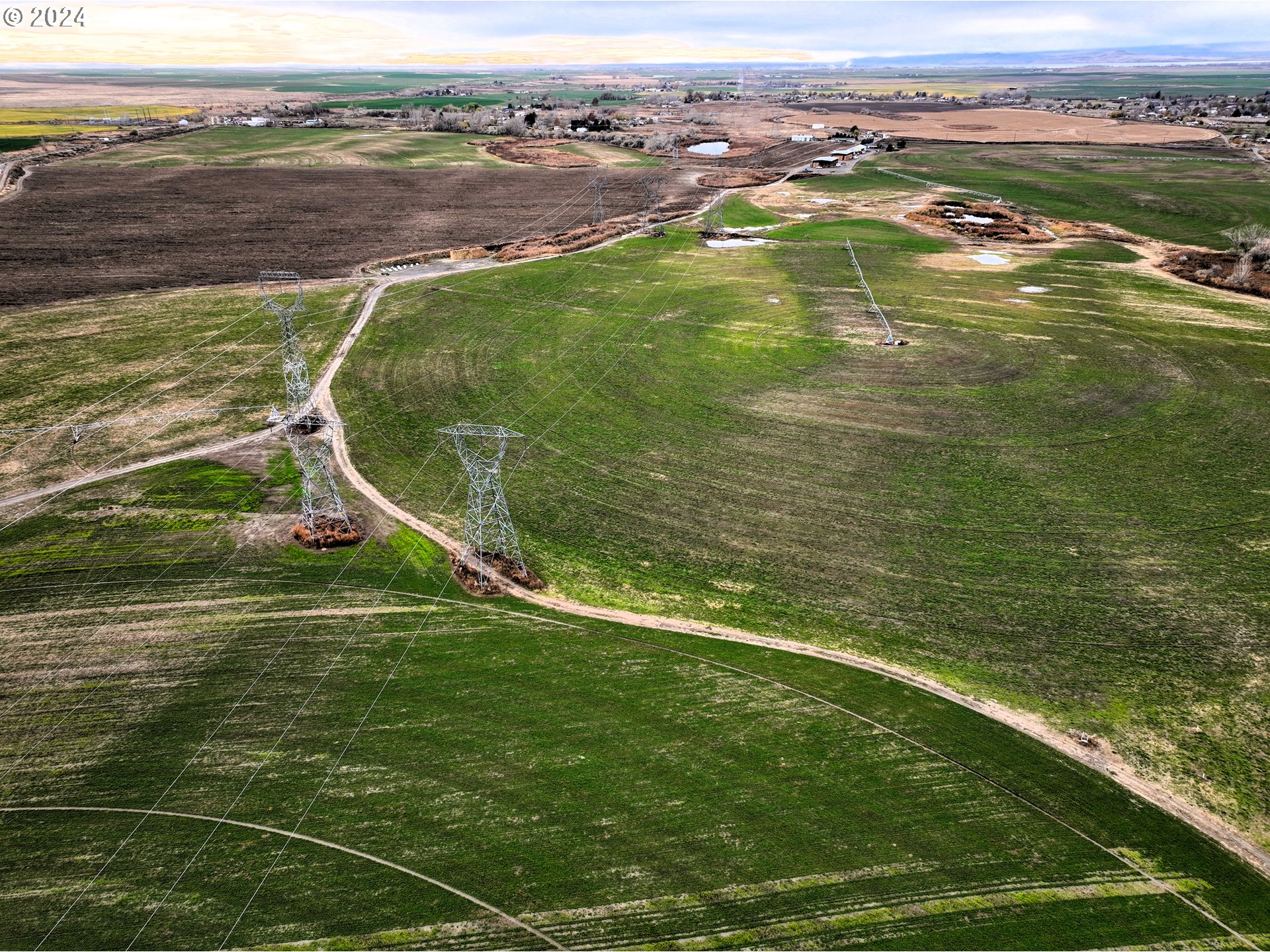 Bellinger, Irrigon, OR 97844