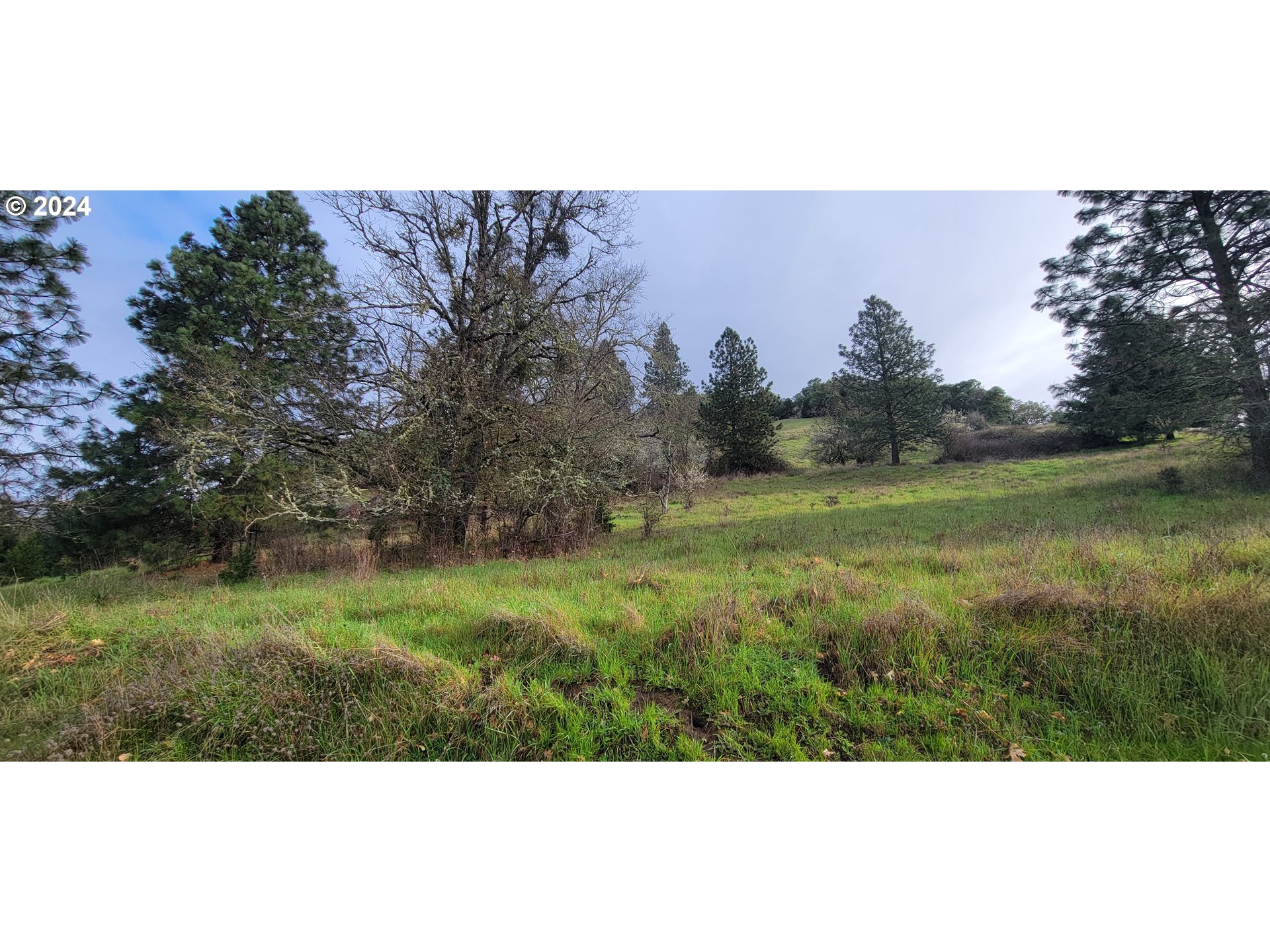 ARDIS AVE, MyrtleCreek, OR 97457
