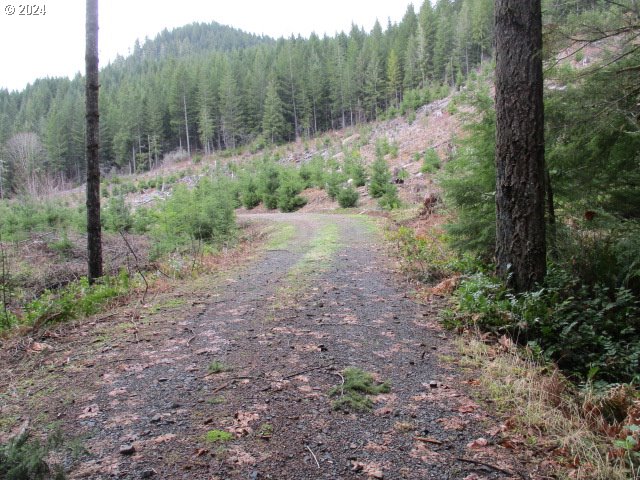 000 Quartzville RD, SweetHome, OR 97386