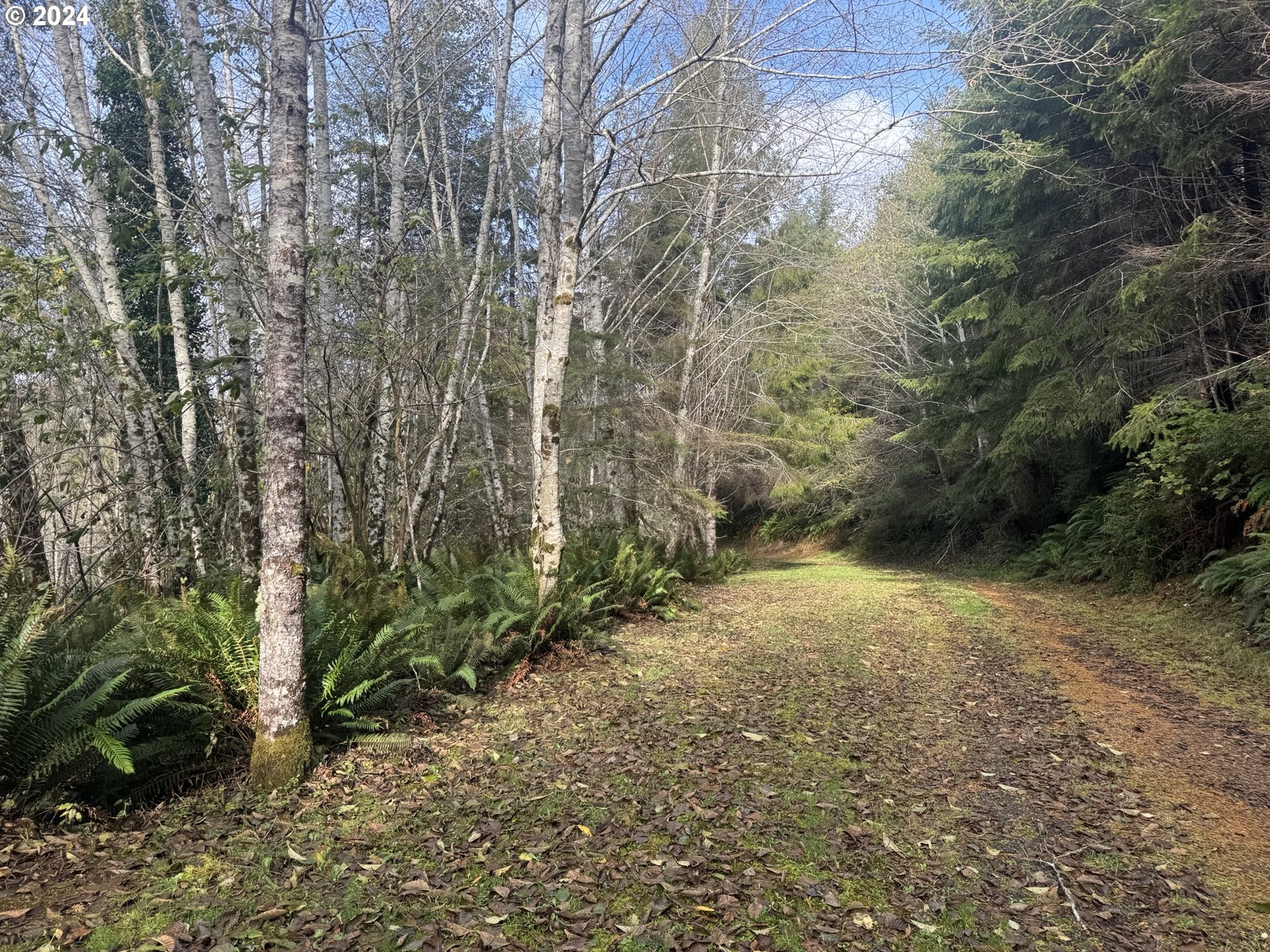 POTATO BOTTOM RD, Lakeside, OR 97449