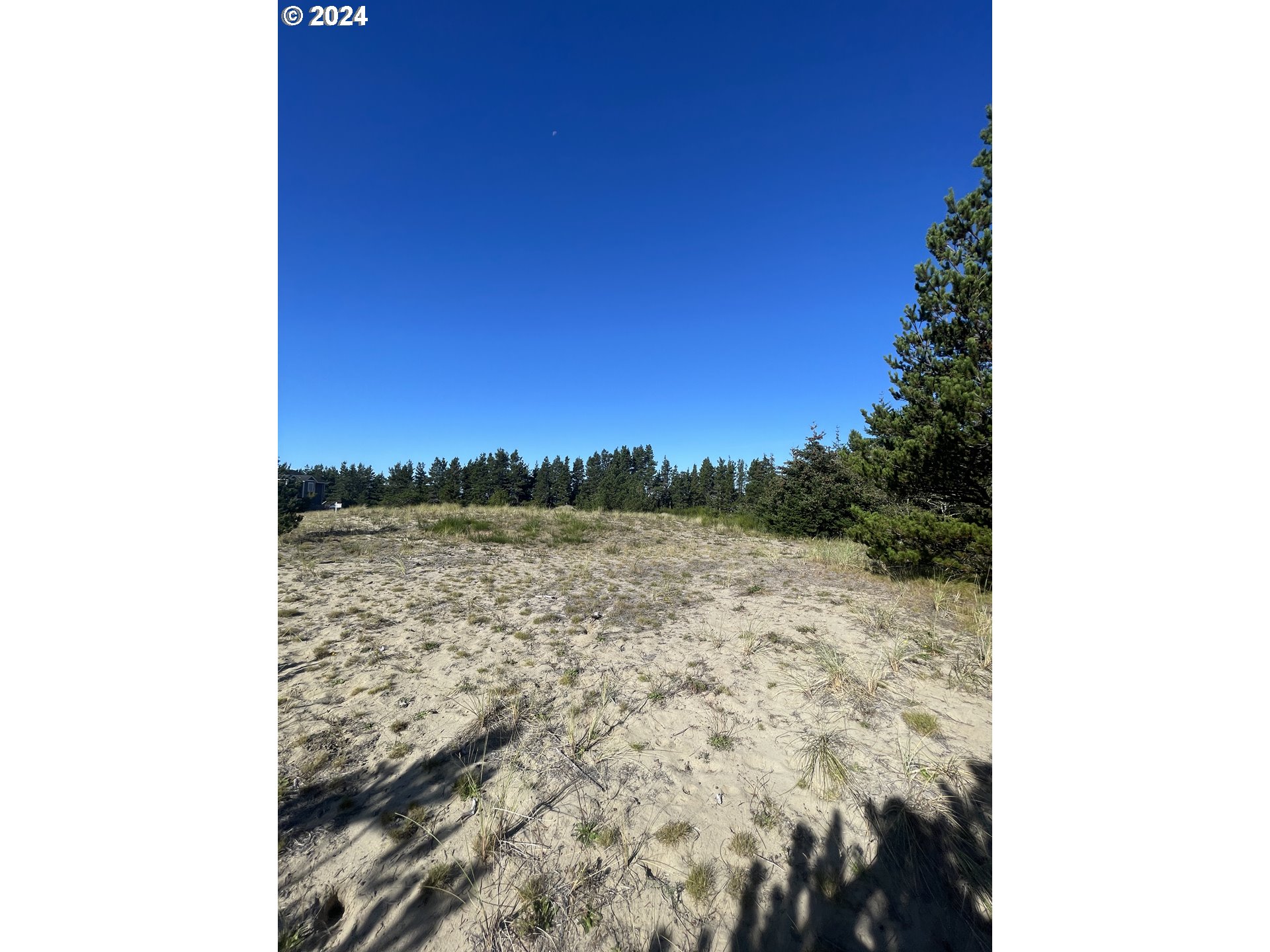 Pine Ridge DR, Manzanita, OR 97130