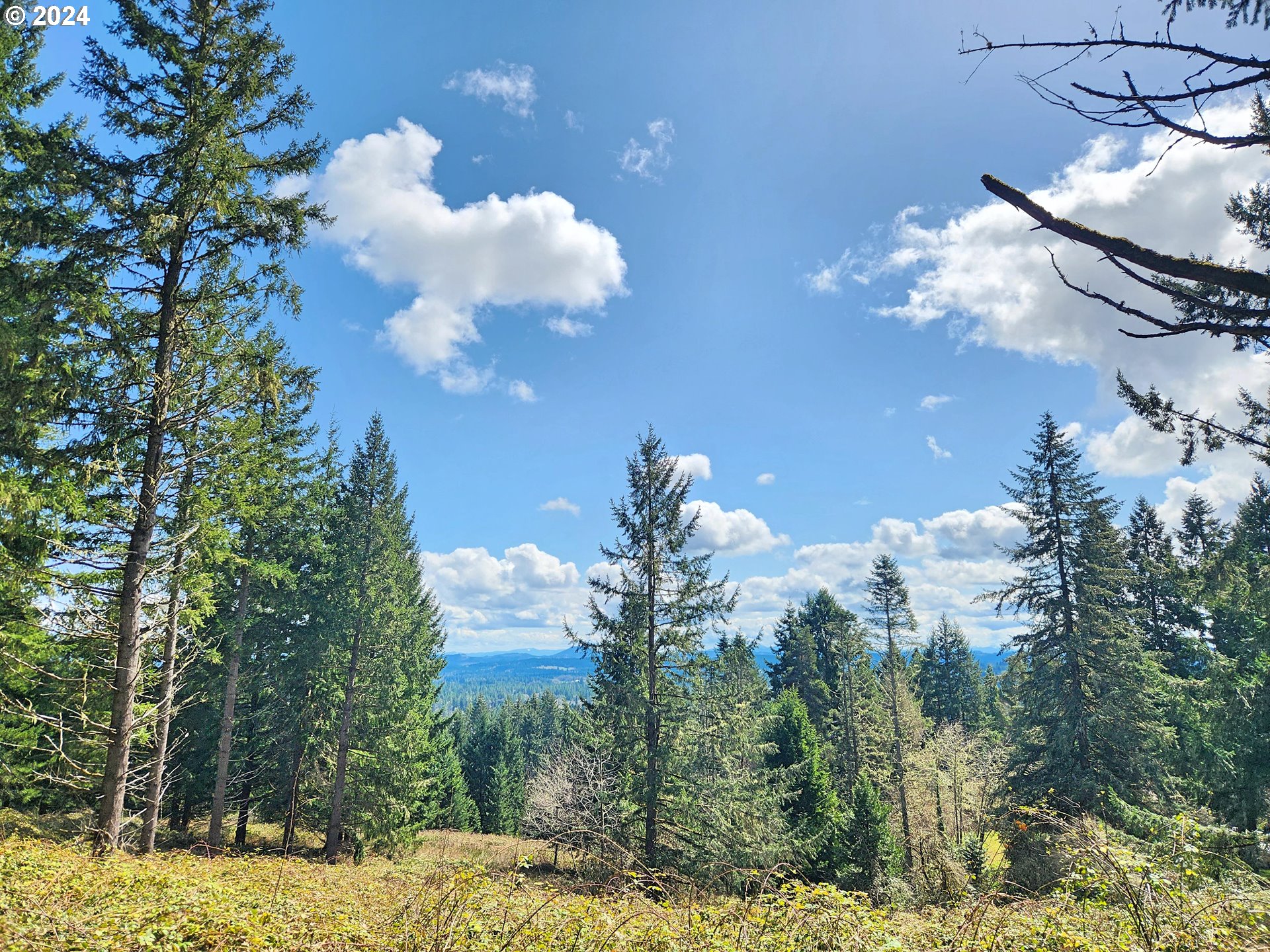 BOLTON HILL RD, Veneta, OR 97487