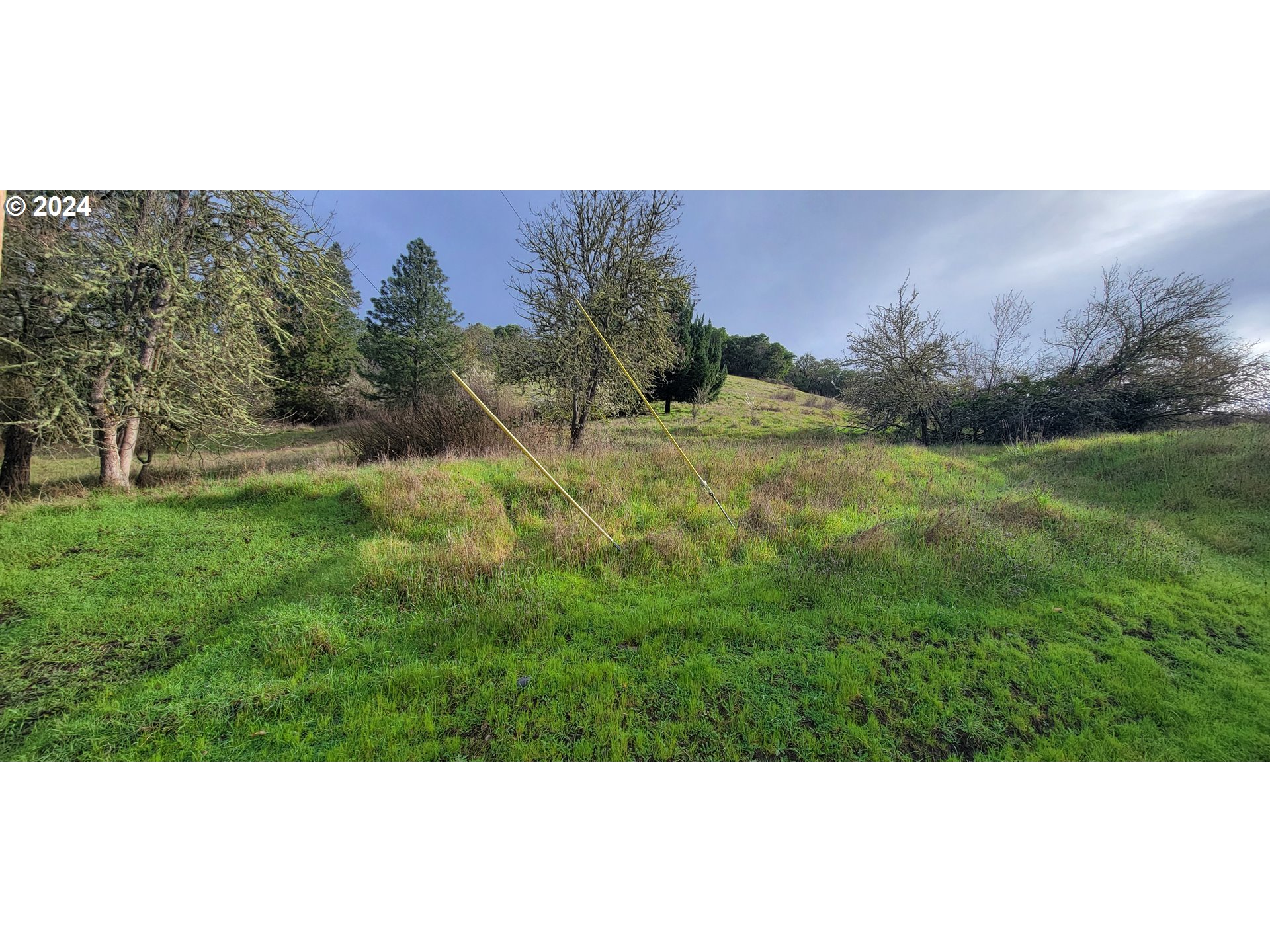 ARDIS AVE, MyrtleCreek, OR 97457