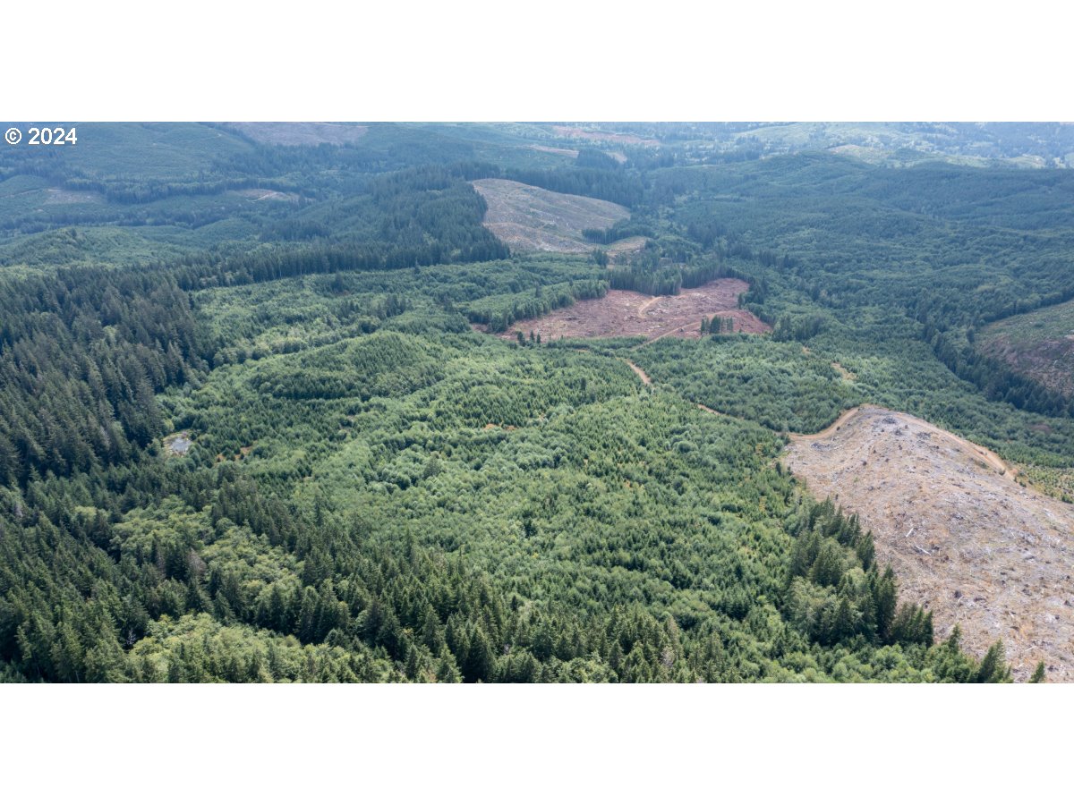 Saddle Mountain RD, Seaside, OR 97138