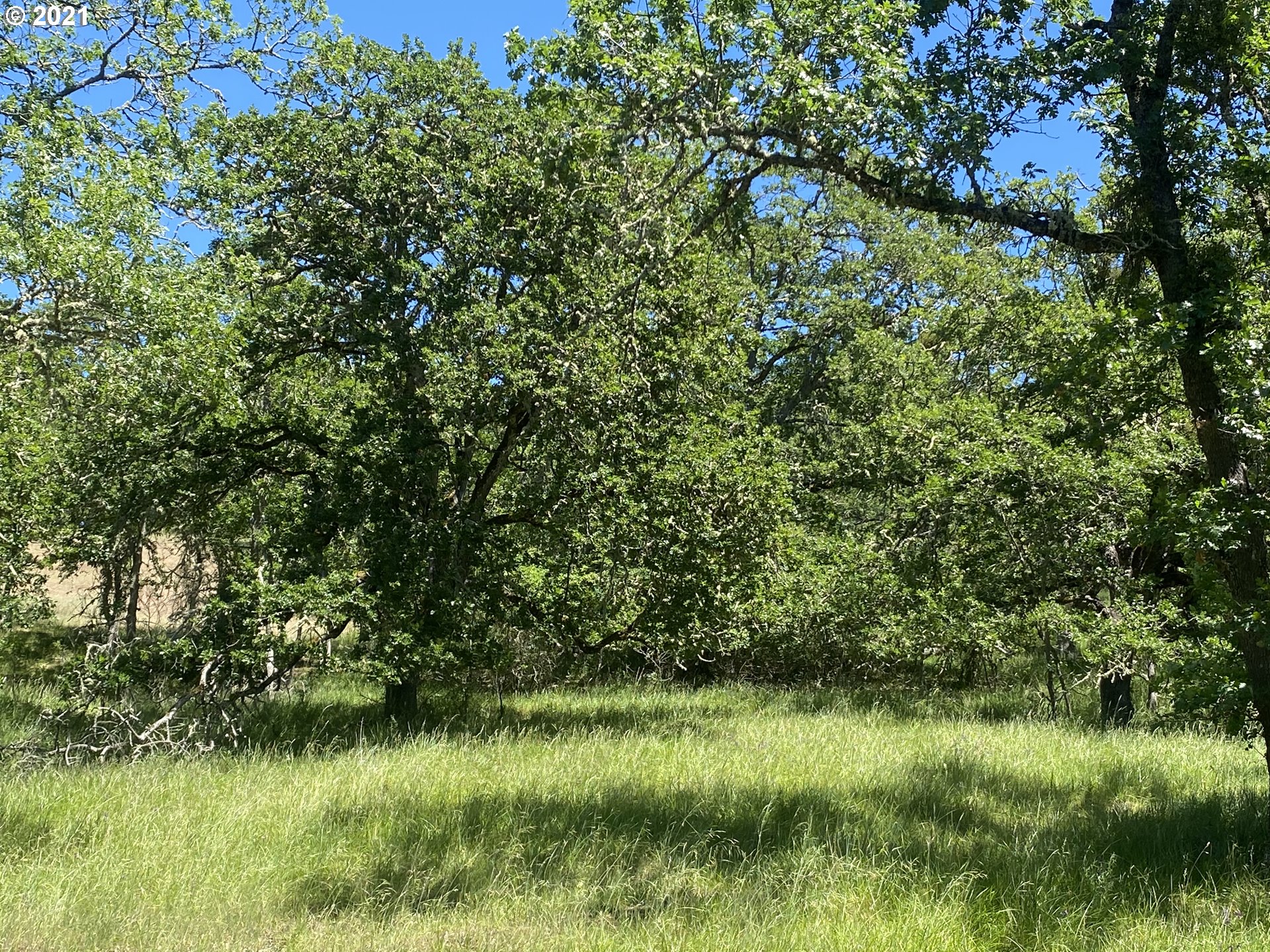 1452 ROCKY RIDGE DR, Roseburg, OR 97470