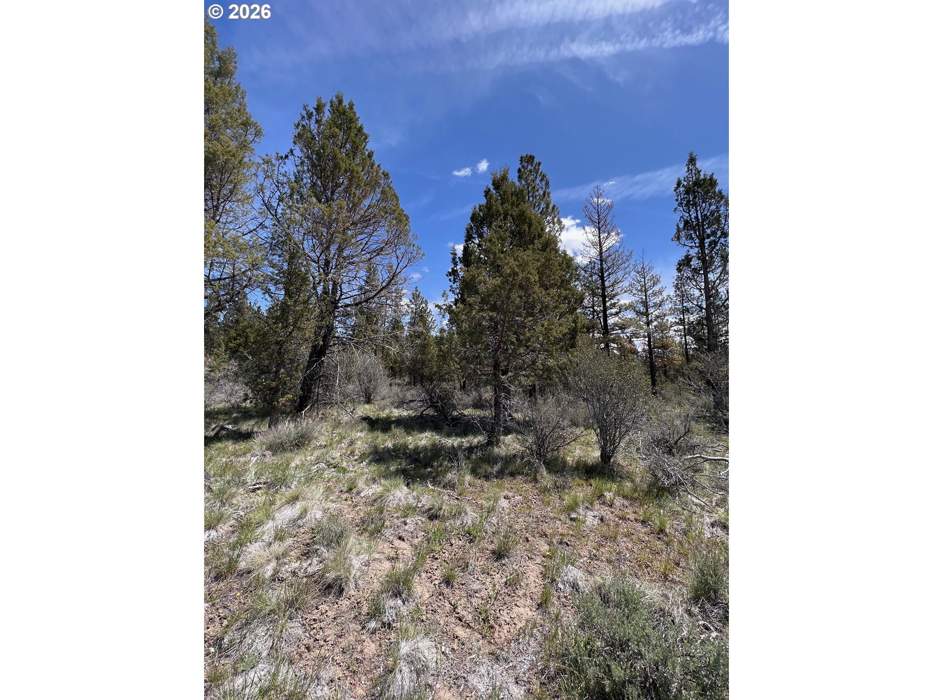 15 Glendale LN, Beatty, OR 97621