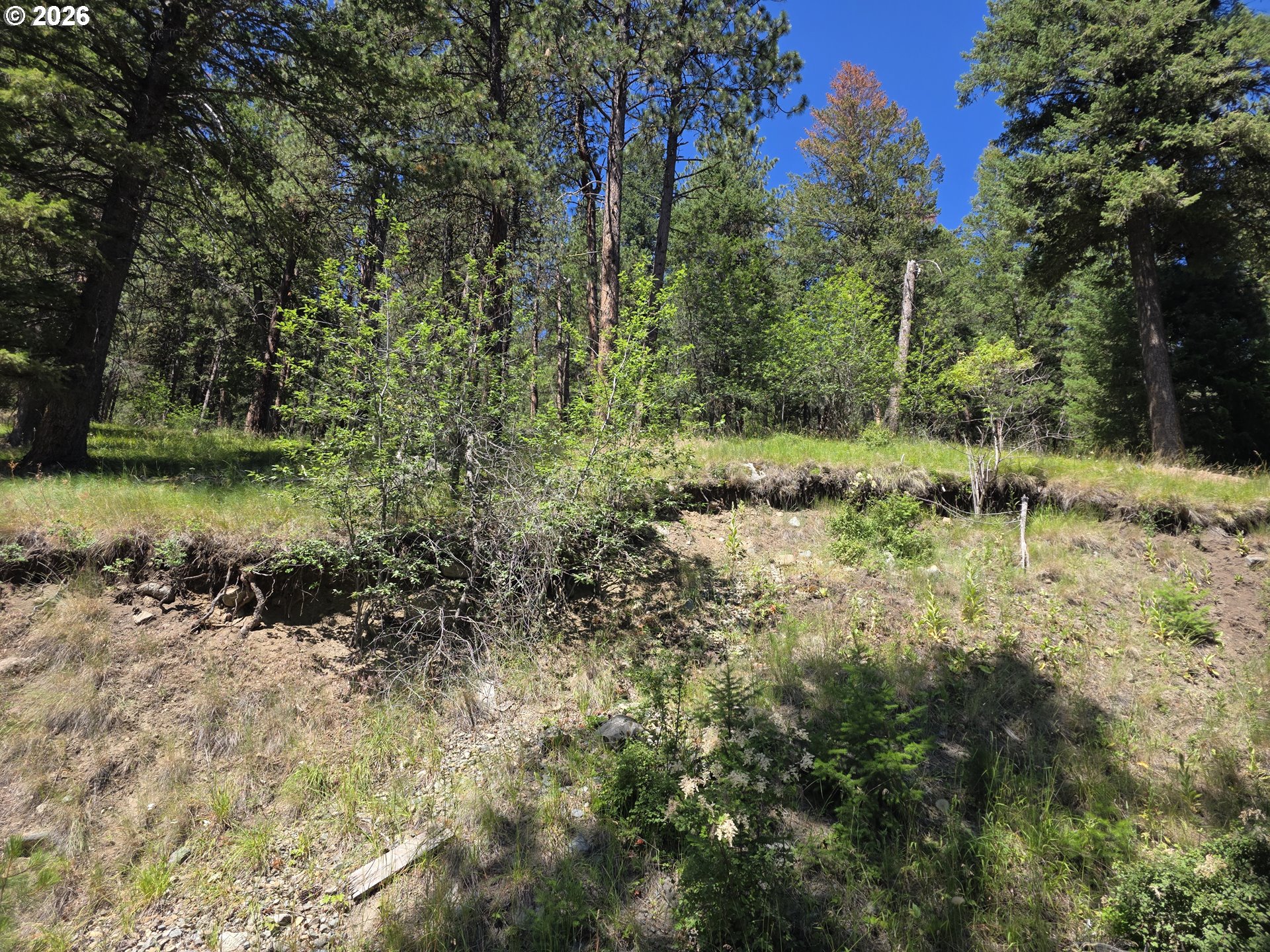 61290 LAKE SHORE RD, WallowaLake, OR 97846