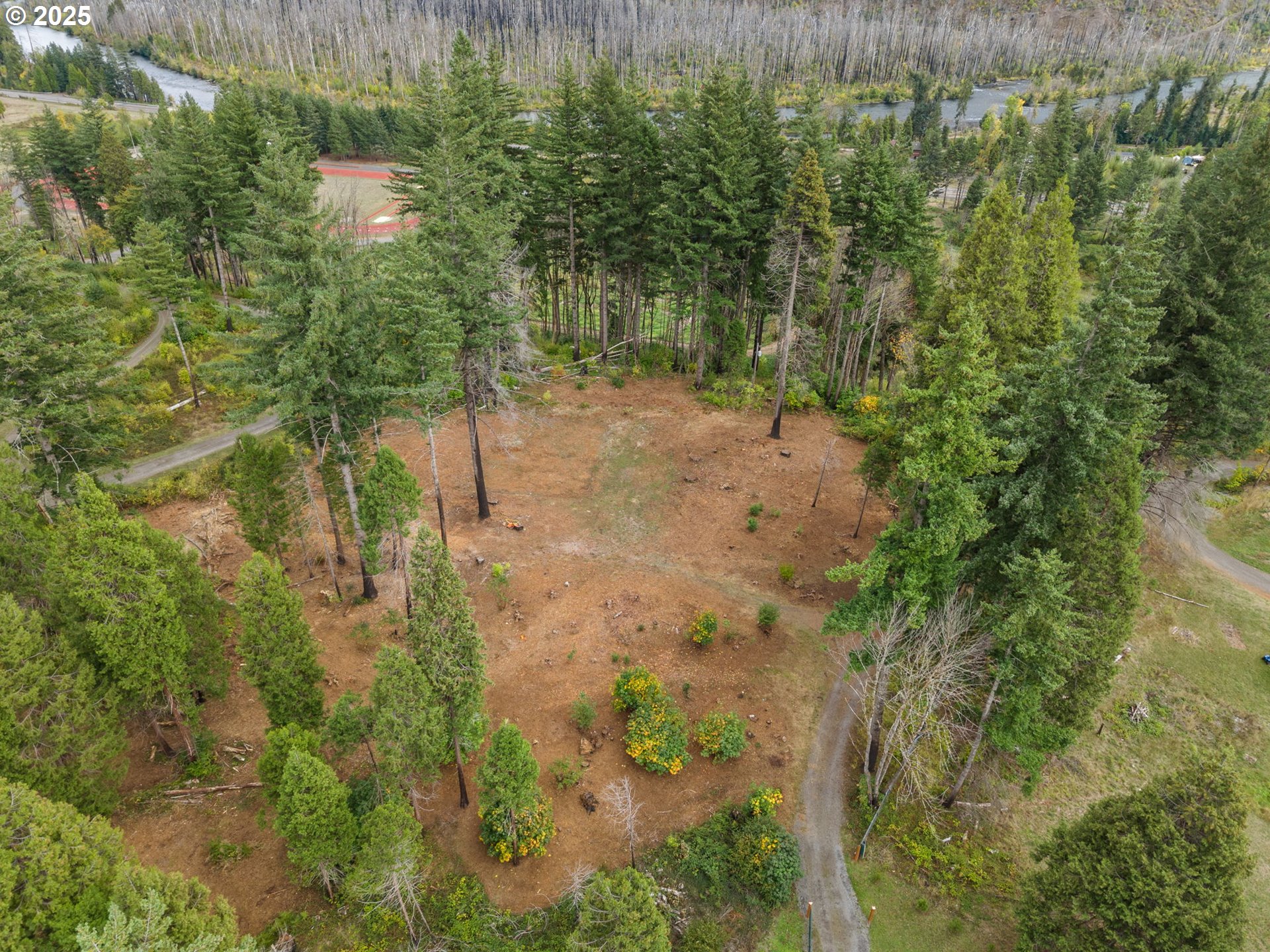 51209 BLUE RIVER DR, Vida, OR 97488