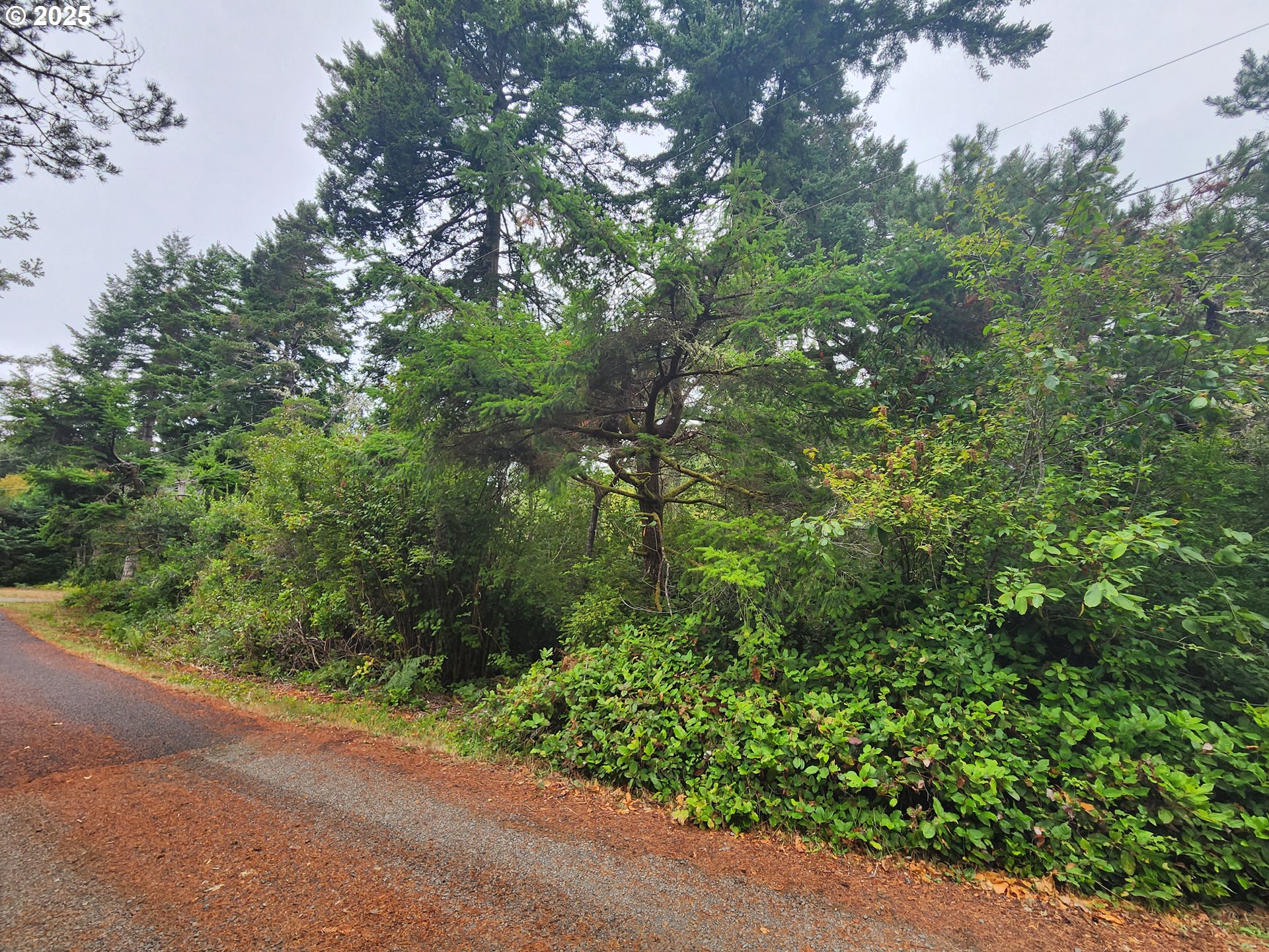 Sand Dune Park DR, Florence, OR 97439